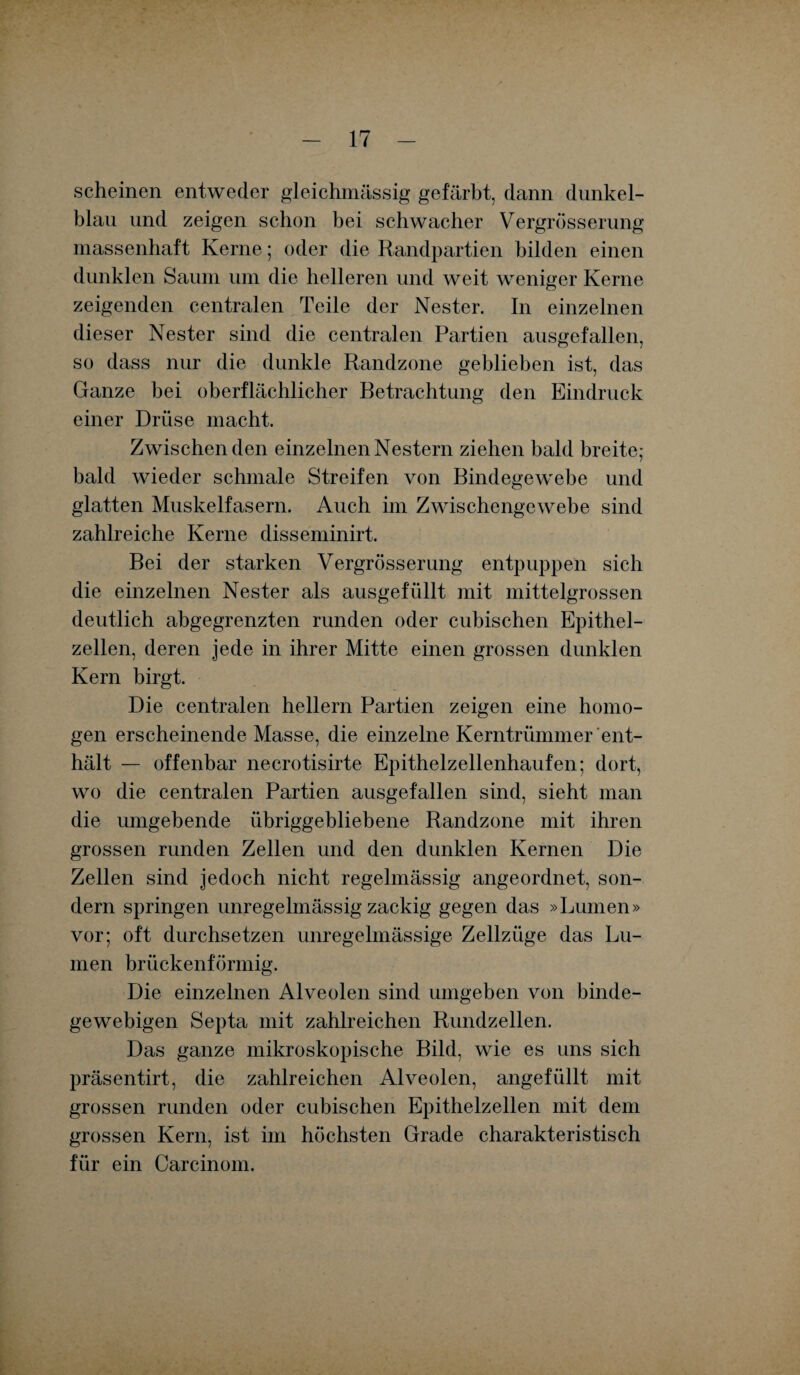 scheinen entweder gleichmässig gefärbt, dann dunkel¬ blau und zeigen schon bei schwacher Vergrösserung massenhaft Kerne; oder die Randpartien bilden einen dunklen Saum um die helleren und weit weniger Kerne zeigenden centralen Teile der Nester. In einzelnen dieser Nester sind die centralen Partien ausgefallen, so dass nur die dunkle Randzone geblieben ist, das Ganze hei oberflächlicher Betrachtung den Eindruck einer Drüse macht. Zwischen den einzelnen Nestern ziehen bald breite,- bald wieder schmale Streifen von Bindegewebe und glatten Muskelfasern. Auch im Zwischengewebe sind zahlreiche Kerne disseminirt. Bei der starken Vergrösserung entpuppen sich die einzelnen Nester als ausgefüllt mit mittelgrossen deutlich abgegrenzten runden oder cubischen Epithel¬ zellen, deren jede in ihrer Mitte einen grossen dunklen Kern birgt. Die centralen hellem Partien zeigen eine homo¬ gen erscheinende Masse, die einzelne Kerntrümmer ent¬ hält — offenbar necrotisirte Epithelzellenhaufen; dort, wo die centralen Partien ausgefallen sind, sieht man die umgebende übriggebliebene Randzone mit ihren grossen runden Zellen und den dunklen Kernen Die Zellen sind jedoch nicht regelmässig angeordnet, son¬ dern springen unregelmässig zackig gegen das »Lumen» vor; oft durchsetzen unregelmässige Zellzüge das Lu¬ men brückenförmig. Die einzelnen Alveolen sind umgeben von binde¬ gewebigen Septa mit zahlreichen Rundzellen. Das ganze mikroskopische Bild, wie es uns sich präsentirt, die zahlreichen Alveolen, angefüllt mit grossen runden oder cubischen Epithelzellen mit dem grossen Kern, ist im höchsten Grade charakteristisch für ein Carcinom.