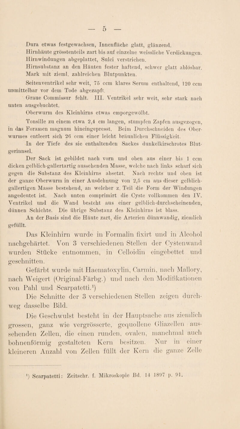 ö Dura etwas festgewachsen, Innenfläche glatt, glänzend. Hirnhäute grösstenteils zart bis auf einzelne weissliche Verdickungen. Hirnwindungen abgeplattet, Sulci verstrichen. Hirnsubstanz an den Häuten fester haftend, schwer glatt ablösbar. Mark mit zieml. zahlreichen Blutpunkten. Sei teil Ventrikel sehr weit, 75 ccm klares Serum enthaltend, 120 ccm unmittelbar vor dem Tode abgezapft, Graue Commissur fehlt. III. Ventrikel sehr weit, sehr stark nach unten ausgebuchtet. Oberwurm des Kleinhirns etwas emporgewölbt. Tonsille zu einem etwa 2,4 cm langen, stumpfen Zapfen ausgezogen, in das Foramen magnum hineingepresst. Beim Durchschneiden des Ober¬ wurmes entleert sich 26 ccm einer leicht bräunlichen Flüssigkeit. In der Tiefe des sie enthaltenden Sackes dunkelkirschrotes Blut¬ gerinnsel. Der Sack ist gebildet nach vorn und oben aus einer bis 1 ccm dicken gelblich-gallertartig aussehenden Masse, welche nach links scharf sich gegen die Substanz des Kleinhirns absetzt. Nach rechts und oben ist der ganze Oberwurm in einer Ausdehnung von 2,5 cm aus dieser gelblich¬ gallertigen Masse bestehend, an welcher z. Teil die Form der Windungen angedeutet ist. Nach unten comprimirt die Cyste vollkommen den IV. Ventrikel und die Wand besteht aus einer gelblich-durchscheinenden, dünnen Schichte. Die übrige Substanz des Kleinhirns ist blass. An der Basis sind die Häute zart, die Arterien dünnwandig, ziemlich gefüllt. Das Kleinhirn wurde in Formalin fixirt und in Alcohol nachgehärtet. Von 3 verschiedenen Stellen der Cystenwand wurden Stücke entnommen, in Celloidin eingebettet und geschnitten. Gefärbt wurde mit Haematoxylin, Carmin, nach Mallory, nach Weigert (Original-Färbg.) und nach den Modifikationen von Pahl und Scarpatetti.1) Die Schnitte der 3 verschiedenen Stellen zeigen durch¬ weg dasselbe Bild. Die Geschwulst besteht in der Hauptsache aus ziemlich grossen, ganz wie vergrösserte, gequollene Gliazellen aus¬ sehenden Zellen, die einen runden, ovalen, manchmal auch bohnenförmig gestalteten Kern besitzen. Nur in einer kleineren Anzahl von Zellen füllt der Kern die ganze Zelle Scarpatetti: Zeitschr. f. Mikroskopie Bd. 14 1807 p. 91.