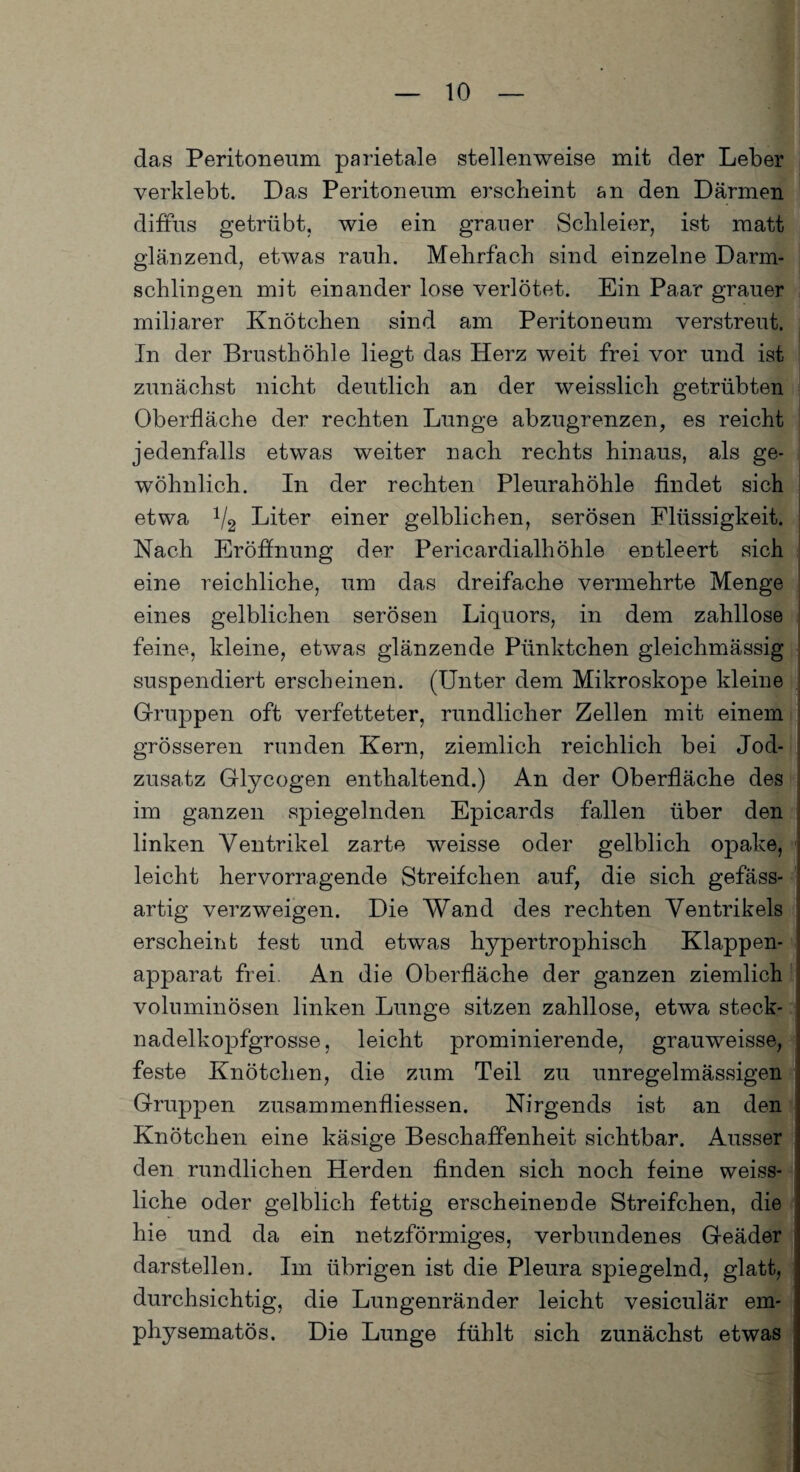 das Peritoneum parietale stellenweise mit der Leber verklebt. Das Peritoneum erscheint an den Därmen diffus getrübt, wie ein grauer Schleier, ist matt glänzend, etwas rauh. Mehrfach sind einzelne Darm¬ schlingen mit einander lose verlötet. Ein Paar grauer miliarer Knötchen sind am Peritoneum verstreut. In der Brusthöhle liegt das Herz weit frei vor und ist zunächst nicht deutlich an der weisslich getrübten Oberfläche der rechten Lunge abzugrenzen, es reicht jedenfalls etwas weiter nach rechts hinaus, als ge¬ wöhnlich. In der rechten Pleurahöhle findet sich etwa 1/2 Liter einer gelblichen, serösen Flüssigkeit. Nach Eröffnung der Pericardialhöhle entleert sich eine reichliche, um das dreifache vermehrte Menge eines gelblichen serösen Liquors, in dem zahllose feine, kleine, etwas glänzende Pünktchen gleichmässig suspendiert erscheinen. (Unter dem Mikroskope kleine Gruppen oft verfetteter, rundlicher Zellen mit einem grösseren runden Kern, ziemlich reichlich bei Jod¬ zusatz Glycogen enthaltend.) An der Oberfläche des im ganzen spiegelnden Epicards fallen über den linken Ventrikel zarte weisse oder gelblich opake, leicht hervorragende Streifchen auf, die sich gefäss- artig verzweigen. Die Wand des rechten Ventrikels erscheint fest und etwas hypertrophisch Klappen¬ apparat frei An die Oberfläche der ganzen ziemlich voluminösen linken Lunge sitzen zahllose, etwa steck¬ nadelkopfgrosse, leicht prominierende, grauweisse, feste Knötchen, die zum Teil zu unregelmässigen Gruppen zusammenfliessen. Nirgends ist an den Knötchen eine käsige Beschaffenheit sichtbar. Ausser den rundlichen Herden finden sich noch feine weiss- liche oder gelblich fettig erscheinende Streifchen, die hie und da ein netzförmiges, verbundenes Geäder darstellen. Im übrigen ist die Pleura spiegelnd, glatt, durchsichtig, die Lungenränder leicht vesiculär em¬ physematos. Die Lunge fühlt sich zunächst etwas