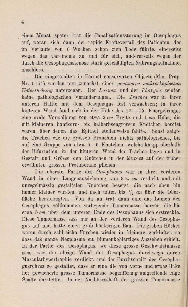 einen Monat später trat die Canalisationsstörung im Oesophagus auf, woran sich dann der rapide Kräfteverfall des Patienten, der im Verlaufe von 6 Wochen schon zum Tode führte, einerseits wegen des Carcinoms an und für sich, andererseits wegen der durch die Oesophagusstenose stark geschädigten Nahrungsaufnahme, anschloss. Die eingesandten in Formol conservirten Objecte (Mus. Präp. Nr. 5154) wurden nun zunächst einer genaueren makroskopischen Untersuchung unterzogen. Der Larynx und der Pharynx zeigten keine pathologischen Veränderungen. Die Trachea war in ihrer unteren Hälfte mit dem Oesophagus fest verwachsen; in ihrer hinteren Wand fand sich in der Höhe des 10.—15. Knorpelringes eine ovale Vor Wölbung von etwa 2 cm Breite und 1 cm Höhe, die mit kleineren hanfkorn- bis halberbsengrossen Knötchen besetzt waren, über denen das Epithel stellenweise fehlte. Sonst zeigte die Trachea wie die grossen Bronchien nichts pathologisches, bis auf eine Gruppe von etwa 5—6 Knötchen, welche knapp oberhalb der Bifurcation in der hinteren Wand der Trachea lagen und in Gestalt und Grösse den Knötchen in der Mucosa auf der früher erwähnten grossen Protuberanz glichen. Die oberste Partie des Oesophagus war in ihrer vorderen Wand in einer Längenausdehnung von 3 % cm verdickt und mit unregelmässig gestalteten Knötchen besetzt, die nach oben hin immer kleiner wurden, und nach unten bis ]/3 cm über die Ober¬ fläche hervorragten. Von da an trat dann eine das Lumen des Oesophagus vollkommen verlegende Tumormasse hervor, die bis etwa 5 cm über dem unteren Ende des Oesophagus sich erstreckte. Diese Tumormasse sass nur an der vorderen Wand des Oesopha¬ gus auf und hatte einen grob höckerigen Bau. Die groben Höcker waren durch zahlreiche Furchen wieder in kleinere zerklüftet, so dass das ganze Neoplasma ein blumenkohlartiges Aussehen erhielt. In der Partie des Oesophagus, wo diese grosse Geschwuistmasse sass, war die übrige Wand des Oesophagus durchwegs durch Muscularhypertrophie verdickt, und der Durchschnitt des Oesopha- gusrohres so gestaltet, dass er eine die 'von vorne und etwas links her gewucherte grosse Tumormasse bogenförmig umgreifende enge Spalte darstellte. In der Nachbarschaft der grossen Tumormasse