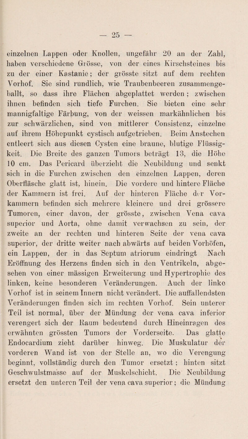 einzelnen Lappen oder Knollen, ungefähr 20 an der Zahl, haben verschiedene Grösse, von der eines Kirschsteines bis zu der einer Kastanie; der grösste sitzt auf dem rechten Vorhof. Sie sind rundlich, wie Traubenbeeren zusammenge¬ ballt, so dass ihre Flächen abgeplattet werden ; zwischen ihnen befinden sich tiefe Furchen. Sie bieten eine sehr mannigfaltige Färbung, von der weissen markähnlichen bis zur schwärzlichen, sind von mittlerer Consistenz, einzelne auf ihrem Höhepunkt cystisch aufgetrieben. Beim Anstechen entleert sich aus diesen Cysten eine braune, blutige Flüssig¬ keit. Die Breite des ganzen Tumors beträgt 13, die Höhe 10 cm. Das Pericard überzieht die Neubildung und senkt sich in die Furchen zwischen den einzelnen Lappen, deren Oberfläsche glatt ist, hinein. Die vordere und hintere Fläche der Kammern ist frei. Auf der hinteren Fläche dtr Vor¬ kammern befinden sich mehrere kleinere und drei grössere Tumoren, einer davon, der grösste, zwischen Vena cava superior und Aorta, ohne damit verwachsen zu sein, der zweite an der rechten und hinteren Seite der vena cava superior, der dritte weiter nach abwärts auf beiden Vorhöfen, ein Lappen, der in das Septum atriorum eindringt Nach Eröffnung des Herzens finden sich in den Ventrikeln, abge¬ sehen von einer mässigen Erweiterung und Hypertrophie des linken, keine besonderen Veränderungen. Auch der linke Vorhof ist in seinem Innern nicht verändert. Die auffallendsten Veränderungen finden sich im rechten Vorhof. Sein unterer Teil ist normal, über der Mündung der vena cava inferior verengert sich der Raum bedeutend durch Hineinragen des erwähnten grössten Tumors der Vorderseite. Das glatte Endocardium zieht darüber hinweg. Die Muskulatur der vorderen Wand ist von der Stelle an, wo die Verengung beginnt, vollständig durch den Tumor ersetzt ; hinten sitzt Geschwulstma'sse auf der Muskelschicht. Die Neubildung ersetzt den unteren Teil der vena cava superior; die Mündung