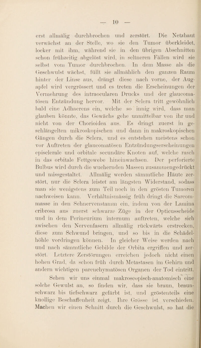erst allmälig durchbrochen und zerstört. Die Netzhaut verwächst an der Stelle, wo sie den Tumor überkleidet, locker mit ihm, während sie in den übrigen Abschnitten schon frühzeitig abgelöst wird, in seltneren Fällen wird sie selbst vom Tumor durchbrochen. In dem Masse als die Geschwulst wächst, füllt sie allmählich den ganzen Raum hinter der Linse aus, drängt diese nach vorne, der Aug¬ apfel wird vergrössert und es treten die Erscheinungen der Vermehrung des intraocularen Drucks und der glaucoma- tösen Entzündung hervor. Mit der Sclera tritt gewöhnlich bald eine Adhaerens ein, welche so innig wird, dass man glauben könnte, das Gewächs gehe unmittelbar von ihr und nicht von der Chorioidea aus. Es dringt zuerst in ge¬ schlängelten mikroskopischen und dann in makroskopischen Gängen durch die Sclera, und es entstehen meistens schon vor Auftreten der glaucomatösen Entzündungserscheinungen episclerale und orbitale secundäre Knoten auf, welche rasch in das orbitale Fettgewebe hinein wachsen. Der perforierte Bulbus wird durch die wuchernden Massen zusammengedrückt und missgestaltet. Allmälig werden sämmtliche Häute zer¬ stört, nur die Sclera leistet am längsten Widerstand, sodass man sie wenigstens zum Teil noch in den grösten Tumoren nachweisen kann. Verhältnismässig früh dringt die Sarcom- masse in den Sehnervenstamm ein, indem von der Lamina cribrosa aus zuerst schwarze Züge in der Opticusscheide und in dem Perineurium intern um auftreten, welche sich zwischen den Nervenfasern allmälig rückwärts erstrecken, diese zum Schwund bringen, und so bis in die Schädel¬ höhle Vordringen können. In gleicher Weise werden nach und nach sämmtliche Gebilde der Orbita ergriffen und zer¬ stört. Letztere Zerstörungen erreichen jedoch nicht einen hohen Grad, da schon früh durch Metastasen im Gehirn und andern wichtigen parenchymatösen Organen der Tod eintritt. Sehen wir uns einmal makroscopisch-anatomisch eine solche Gewulst an, so finden wir, dass sie braun, braun¬ schwarz bis tiefschwarz gefärbt ist, und gröstenteils eine knollige Beschaffenheit zeigt. Ihre Grösse ist verschieden. Machen wir einen Schnitt durch die Geschwulst, so hat die