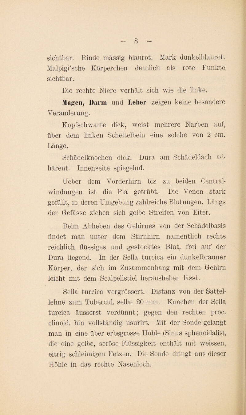 sichtbar. Rinde massig blaurot. Mark dunkelblaurot. Malpigi’sche Körperchen deutlich als rote Punkte sichtbar. Die rechte Niere verhält sich wie die linke. Magen, Darm und Leber zeigen keine besondere Veränderung. Kopfschwarte dick, weist mehrere Narben auf, über dem linken Scheitelbein eine solche von 2 cm. Länge. Schädelknochen dick. Dura am Schädeldach ad- härent. Innenseite spiegelnd. Ueber dem Vorderhirn bis zu_ beiden Central¬ windungen ist die Pia getrübt. Die Venen stark gefüllt, in deren Umgebung zahlreiche Blutungen. Längs der Gefässe ziehen sich gelbe Streifen von Eiter. Beim Abheben des Gehirnes von der Schädelbasis findet man unter dem Stirnhirn namentlich rechts reichlich flüssiges und gestocktes Blut, frei auf der Dura liegend. In der Sella turcica ein dunkelbrauner Körper, der sich im Zusammenhang mit dem Gehirn leicht mit dem Scalpellstiel herausheben lässt. Sella turcica vergrössert. Distanz von der Sattel¬ lehne zum Tubercul. sellae 20 mm. Knochen der Sella turcica äusserst verdünnt; gegen den rechten proc. clinoid. hin vollständig usurirt. Mit der Sonde gelangt man in eine über erbsgrosse Höhle (Sinus sphenoidalis), die eine gelbe, seröse Flüssigkeit enthält mit weissen, eitrig schleimigen Fetzen. Die Sonde dringt aus dieser Höhle in das rechte Nasenloch.