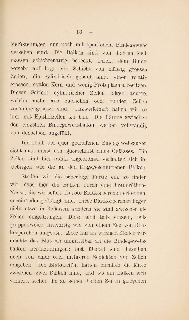 Verästelungen nur noch mit spärlichem Bindegewebe versehen sind. Die Balken sind von dichten Zell¬ massen schichtenartig bedeckt. Direkt dem Binde¬ gewebe auf liegt eine Schicht von mässig grossen Zellen, die cylindrisch gebaut sind, einen relativ grossen, ovalen Kern und wenig Protoplasma besitzen. Dieser Schicht cylindrischer Zellen folgen andere, welche mehr aus cubischen oder runden Zellen zusammengesetzt sind. Unzweifelhaft haben wir es hier mit Epithelzellen zu tun. Die Räume zwischen den einzelnen Bindegewebsbalken werden vollständig von denselben angefüllt. Innerhalb der quer getroffenen Bindegewebszügen sieht man meist den Querschnitt eines Gefässes. Die Zellen sind hier radiär angeordnet, verhalten sich im Uebrigen wie die an den längsgeschnittenen Balken. Stellen wir die scheckige Partie ein, so finden wir, dass hier die Balken durch eine braunrötliche Masse, die wir sofort als rote Blutkörperchen erkennen, auseinander gedrängt sind. Diese Blutkörperchen liegen nicht etwa in Gefässen, sondern sie sind zwischen die Zellen eingedrungen. Diese sind teils einzeln, teils gruppenweise, inselartig wie von einem See von Blut¬ körperchen umgeben. Aber nur an wenigen Stellen ver¬ mochte das Blut bis unmittelbar an die Bindegewebs- balken heranzudringen; fast überall sind dieselben noch von einer oder mehreren Schichten von Zellen umgeben. Die Blutstreifen halten ziemlich die Mitte zwischen zwei Balken inne, und wo ein Balken sich verliert, stehen die zu seinen beiden Seiten gelegenen