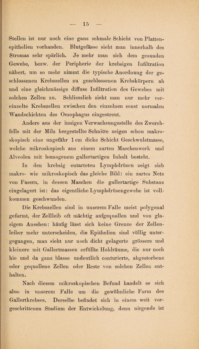 Stellen ist nur noch eine ganz schmale Schicht von Platten- epithelien vorhanden. Blutgefässe sieht man innerhalb des Stromas sehr spärlich. Je mehr man sich dem gesunden Gewebe, bezw. der Peripherie der krebsigen Infiltration nähert, um so mehr nimmt die typische Anordnung der ge¬ schlossenen Krebszellen zu geschlossenen Krebskörpern ab und eine gleichmässige diffuse Infiltration des Gewebes mit solchen Zellen zu. Schliesslich sieht man nur mehr ver¬ einzelte Krebszellen zwischen den einzelnen sonst normalen Wandschichten des Oesophagus eingestreut. Andere aus der innigen Verwachsungsstelle des Zwerch¬ fells mit der Milz hergestellte Schnitte zeigen schön makro¬ skopisch eine ungefähr 1 cm dicke Schicht Geschwulstmasse, welche mikroskopisch aus einem zarten Maschenwerk und Alveolen mit homogenem gallertartigen Inhalt besteht. In den krebsig entarteten Lymphdrüsen zeigt sich makro- wie mikroskopisch das gleiche Bild: ein zartes Netz von Fasern, in dessen Maschen die gallertartige Substanz eingelagert ist; das eigentliche Lymphdrüsengewebe ist voll¬ kommen geschwunden. Die Krebszellen sind in unserem Falle meist polygonal geformt, der Zellleib oft mächtig aufgequollen und von gla¬ sigem Ansehen; häufig lässt sich keine Grenze der Zellen¬ leiber mehr unterscheiden, die Epithelien sind völlig unter¬ gegangen, man sieht nur noch dicht gelagerte grössere und kleinere mit Gallertmassen erfüllte Hohlräume, die nur noch hie und da ganz blasse undeutlich conturierte, abgestorbene oder gequollene Zellen oder Reste von solchen Zellen ent¬ halten. Nach diesem mikroskopischen Befund handelt es sich also, in unserem Falle um die gewöhnliche Form des Gallertkrebses. Derselbe befindet sich in einem weit vor¬ geschrittenen Stadium der Entwickelung, denn nirgends ist