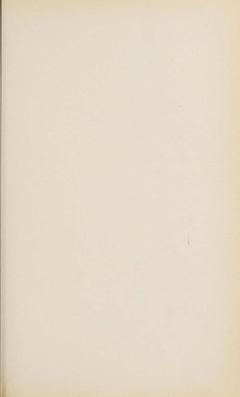 '