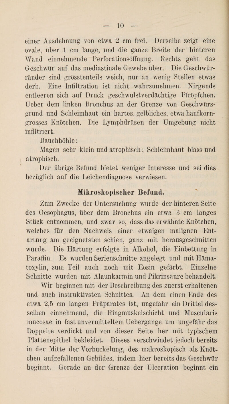 einer Ausdehnung von etwa 2 cm frei. Derselbe zeigt eine ovale, über 1 cm lange, und die ganze Breite der hinteren Wand einnehmende Perforationsöffnung. Rechts geht das Geschwür auf das mediastinale Gewebe über. Die Geschwür¬ ränder sind grösstenteils weich, nur an wenig Stellen etwas derb. Eine Infiltration ist nicht wahrzunehmen. Nirgends entleeren sich auf Druck geschwulstverdächtige Pfröpfchen. lieber dem linken Bronchus an der Grenze von Geschwürs¬ grund und Schleimhaut ein hartes, gelbliches, etwa hanfkorn¬ grosses Knötchen. Die Lymphdrüsen der Umgebung nicht infiltriert. Bauchhöhle: Magen sehr klein und atrophisch; Schleimhaut blass und atrophisch. Der übrige Befund bietet weniger Interesse und sei dies bezüglich auf die Leichendiagnose verwiesen. Mikroskopischer Befund. Zum Zwecke der Untersuchung wurde der hinteren Seite des Oesophagus, über dem Bronchus ein etwa 3 cm langes Stück entnommen, und zwar so, dass das erwähnte Knötchen, welches für den Nachweis einer etwaigen malignen Ent¬ artung am geeignetsten schien, ganz mit herausgeschnitten wurde. Die Härtung erfolgte in Alkohol, die Einbettung in Paraffin. Es wurden Serienschnitte angelegt und mit Häma- toxylin, zum Teil auch noch mit Eosin gefärbt. Einzelne Schnitte wurden mit Alaunkarmin und Pikrinsäure behandelt. Wir beginnen mit der Beschreibung des zuerst erhaltenen und auch instruktivsten Schnittes. An dem einen Ende des etwa 2,5 cm langen Präparates ist, ungefähr ein Drittel des¬ selben einnehmend, die Ringrnuskelschicht und Muscularis mucosae in fast unvermitteltem Uebergange um ungefähr das Doppelte verdickt und von dieser Seite her mit typischem Plattenepithel bekleidet. Dieses verschwindet jedoch bereits in der Mitte der Vorbuckelung, des makroskopisch als Knöt¬ chen aufgefallenen Gebildes, indem hier bereits das Geschwür beginnt. Gerade an der Grenze der Ulceration beginnt ein