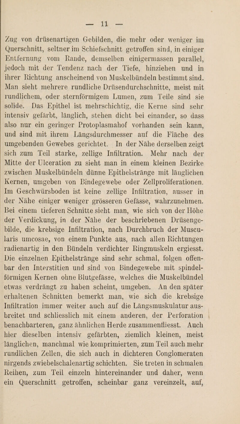 Zug von drüsenartigen Gebilden, die mehr oder weniger im Querschnitt, seltner im Schiefschnitt getroffen sind, in einiger Entfernung vom Rande, demselben einigermassen parallel, jedoch mit der Tendenz nach der Tiefe, hinziehen und in ihrer Richtung anscheinend von Muskelbündeln bestimmt sind. Man sieht mehrere rundliche Drüsendurchschnitte, meist mit rundlichem, oder sternförmigem Lumen, zum Teile sind sie solide. Das Epithel ist mehrschichtig, die Kerne sind sehr intensiv gefärbt, länglich, stehen dicht bei einander, so dass also nur ein geringer Protoplasmahof vorhanden sein kann, und sind mit ihrem Längsdurchmesser auf die Fläche des umgebenden Gewebes gerichtet. In der Nähe derselben zeigt sich zum Teil starke, zellige Infiltration. Mehr nach der Mitte der ülceration zu sieht man in einem kleinen Bezirke zwischen Muskelbündeln dünne Epithelstränge mit länglichen Kernen, umgeben von Bindegewebe oder Zellproliferationen. Im Geschwürsboden ist keine zellige Infiltration, ausser in der Nähe einiger weniger grösseren Gefässe, wahrzunehmen. Bei einem tieferen Schnitte sieht man, wie sich von der Höhe der Verdickung, in der Nähe der beschriebenen Drüsenge¬ bilde, die krebsige Infiltration, nach Durchbruch der Muscu- laris umcosae, von einem Punkte aus, nach allen Richtungen radienartig in den Bündeln Verdichter Ringmuskeln ergiesst. Die einzelnen Epithelstränge sind sehr schmal, folgen offen¬ bar den Interstitien und sind von Bindegewebe mit spindel¬ förmigen Kernen ohne Blutgefässe, welches die Muskelbündel etwas verdrängt zu haben scheint, umgeben. An den später erhaltenen Schnitten bemerkt man, wie sich die krebsige Infiltration immer weiter auch auf die Längsmuskulatur aus¬ breitet und schliesslich mit einem anderen, der Perforation benachbarteren, ganz ähnlichen Herde zusammenfliesst. Auch hier dieselben intensiv gefärbten, ziemlich kleinen, meist länglichen, manchmal wie komprimierten, zum Teil auch mehr rundlichen Zellen, die sich auch in dichteren Conglomeraten nirgends zwiebelschalenartig schichten. Sie treten in schmalen Reihen, zum Teil einzeln hintereinander und daher, wenn ein Querschnitt getroffen, scheinbar ganz vereinzelt, auf,