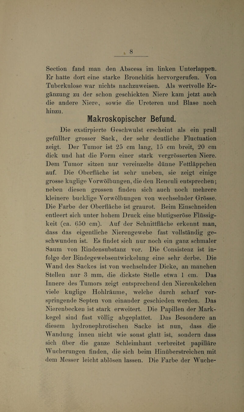 Section fand man den Abscess im linken Unterlappen. Er hatte dort eine starke Bronchitis hervorgerufen. Yon Tuberkulose war nichts nachzuweisen. Als wertvolle Er¬ gänzung zu der schon geschickten Niere kam jetzt auch die andere Niere, sowie die Ureteren und Blase noch hinzu. Makroskopischer Befund. Die exstirpierte Geschwulst erscheint als ein prall gefüllter grosser Sack, der sehr deutliche Fluctuation zeigt. Der Tumor ist 25 cm lang, 15 cm breit, 20 cm dick und hat die Form einer stark vergrösserten Niere. Dem Tumor sitzen nur vereinzelte dünne Fettläppchen auf. Die Oberfläche ist sehr uneben, sie zeigt einige grosse kuglige Vorwölbungen, die den Renculi entsprechen; neben diesen grossen finden sich auch noch mehrere kleinere bucklige Vor Wölbungen von wechselnder Grösse. Die Farbe der Oberfläche ist graurot. Beim Einschneiden entleert sich unter hohem Druck eine blutigseröse Flüssig¬ keit (ca. 650 cm). Auf der Schnittfläche erkennt man, dass das eigentliche Nierengewebe fast vollständig ge¬ schwunden ist. Es findet sich nur noch ein ganz schmaler Saum von Rindensubstanz vor. Die Consistenz ist in¬ folge der Bindegewebsentwickelung eine sehr derbe. Die Wand des Sackes ist von wechselnder Dicke, an manchen Stellen nur 3 mm, die dickste Stelle etwa 1 cm. Das Innere des Tumors zeigt entsprechend den Nierenkelchen viele kuglige Hohlräume, welche durch scharf vor¬ springende Septen von einander geschieden werden. Das Nierenbecken ist stark erweitert. Die Papillen der Mark¬ kegel sind fast völlig abgeplattet. Das Besondere an diesem hydronephrotischen Sacke ist nun, dass die Wandung innen nicht wie sonst glatt ist, sondern dass sich über die ganze Schleimhaut verbreitet papilläre Wucherungen finden, die sich beim Hinüberstreichen mit dem Messer leicht ablösen lassen. Die Farbe der Wuche-