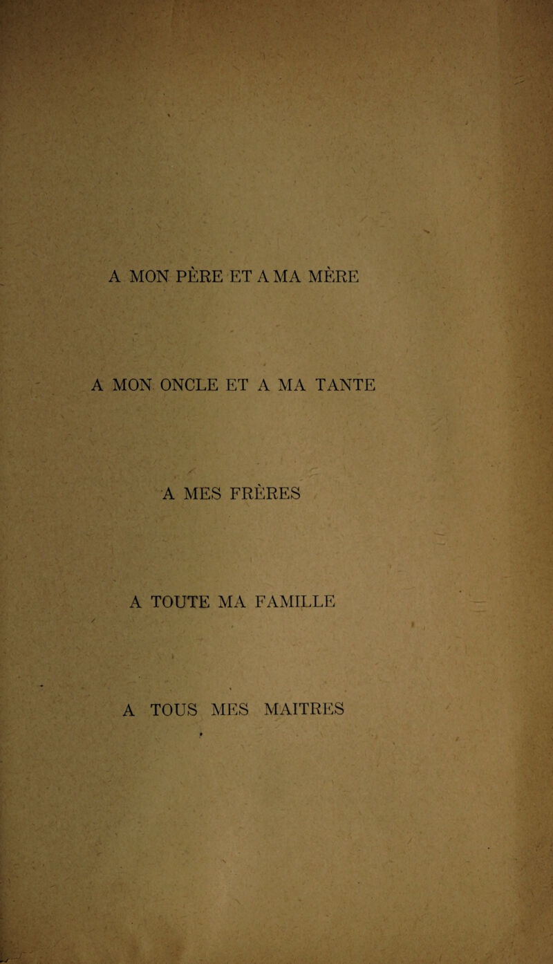 A MON PÈRE ET A MA MÈRE A MON ONCLE ET A MA TANTE A MES FRÈRES A TOUTE MA FAMILLE / A TOUS MES MAITRES