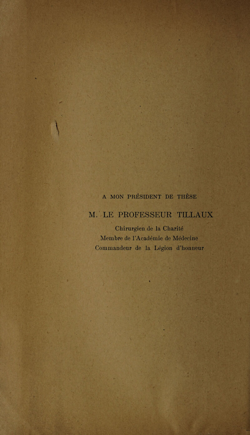 J A MON PRÉSIDENT DE THÈSE M. LE PROFESSEUR TILLAUX Chirurgien de la Charité Membre de l’Académie de Médecine Commandeur de la Légion d’honneur -v. f / ; '