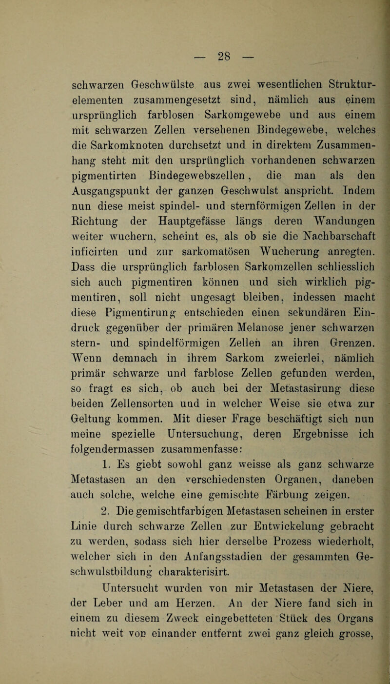 schwarzen Geschwülste aus zwei wesentlichen Struktur¬ elementen zusammengesetzt sind, nämlich aus einem ursprünglich farblosen Sarkomgewebe und ans einem mit schwarzen Zellen versehenen Bindegewebe, welches die Sarkomknoten durchsetzt und. in direktem Zusammen¬ hang steht mit den ursprünglich vorhandenen schwarzen pigmentirten Bindegewebszellen, die man als den Ausgangspunkt der ganzen Geschwulst anspricht. Indem nun diese meist spindel- und sternförmigen Zellen in der Richtung der Hauptgefässe längs deren Wandungen weiter wuchern, scheint es, als ob sie die Nachbarschaft inficirten und zur sarkomatösen Wucherung anregten. Dass die ursprünglich farblosen Sarkomzellen schliesslich sich auch pigmentiren können und sich wirklich pig- mentiren, soll nicht ungesagt bleiben, indessen macht diese Pigmentirung entschieden einen sekundären Ein¬ druck gegenüber der primären Melanose jener schwarzen stern- und spindelförmigen Zellen an ihren Grenzen. Wenn demnach in ihrem Sarkom zweierlei, nämlich primär schwarze und farblose Zellen gefunden werden, so fragt es sich, ob auch bei der Metastasirung diese beiden Zellensorten uud in welcher Weise sie etwa zur Geltung kommen. Mit dieser Frage beschäftigt sich nun meine spezielle Untersuchung, deren Ergebnisse ich folgendermassen zusammenfasse: 1. Es giebt sowohl ganz weisse als ganz schwarze Metastasen an den verschiedensten Organen, daneben auch solche, welche eine gemischte Färbung zeigen. 2. Die gemischtfarbigen Metastasen scheinen in erster Linie durch schwarze Zellen zur Entwickelung gebracht zu werden, sodass sich hier derselbe Prozess wiederholt, welcher sich in den Anfangsstadien der gesammten Ge¬ schwulstbildung charakterisirt. Untersucht wurden von mir Metastasen der Niere. / der Leber und am Herzen. An der Niere fand sich in einem zu diesem Zweck eingebetteten Stück des Organs nicht weit von einander entfernt zwei ganz gleich grosse,
