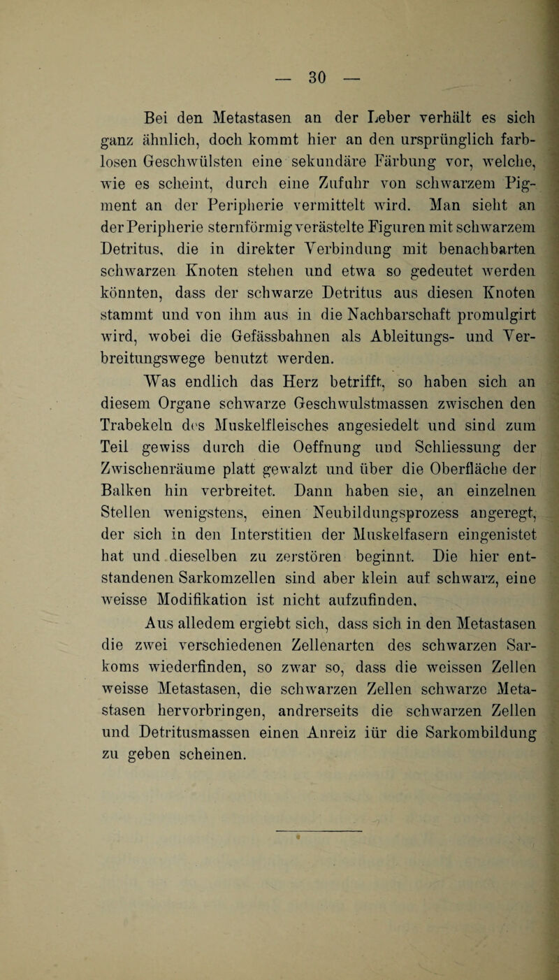 Bei den Metastasen an der Leber verhält es sich ganz ähnlich, doch kommt hier an den ursprünglich farb¬ losen Geschwülsten eine sekundäre Färbung vor, welche, wie es scheint, durch eine Zufuhr von schwarzem Pig¬ ment an der Peripherie vermittelt wird. Man sieht an der Peripherie sternförmig verästelte Figuren mit schwarzem Detritus, die in direkter Verbindung mit benachbarten schwarzen Knoten stehen und etwa so gedeutet werden könnten, dass der schwarze Detritus aus diesen Knoten stammt und von ihm aus in die Nachbarschaft promulgirt wird, wobei die Gefässbahnen als Ableitungs- und Ver¬ breitungswege benutzt werden. Was endlich das Herz betrifft, so haben sich an diesem Organe schwarze Geschwulstmassen zwischen den Trabekeln des Muskelfleisches angesiedelt und sind zum Teil gewiss durch die Oeffnung und Schliessung der Zwischenräume platt gewalzt und über die Oberfläche der Balken hin verbreitet. Dann haben sie, an einzelnen Stellen wenigstens, einen Neubildungsprozess angeregt, der sich in den Interstitiell der Muskelfasern eingenistet hat und dieselben zu zerstören beginnt. Die hier ent¬ standenen Sarkomzellen sind aber klein auf schwarz, eine weisse Modifikation ist nicht aufzufinden. Aus alledem ergiebt sich, dass sich in den Metastasen die zwei verschiedenen Zellenarten des schwarzen Sar¬ koms wiederfinden, so zwar so, dass die weissen Zellen weisse Metastasen, die schwarzen Zellen schwarze Meta¬ stasen hervorbringen, andrerseits die schwarzen Zellen und Detritusmassen einen Anreiz iür die Sarkombildung zu geben scheinen.