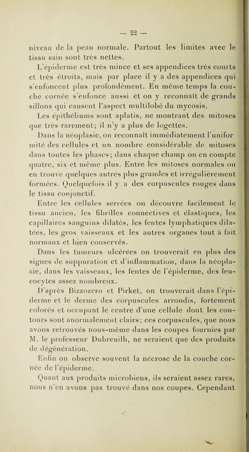 niveau de la peau normale. Partout les limites avec le tissu sain sont très nettes. L’épiderme est très mince et ses appendices très courts et très étroits, mais par place il y a des appendices qui s’enfoncent plus profondément. En même temps la cou¬ che cornée s’enfonce aussi et on y reconnaît de grands sillons qui causent l’aspect multilobé du mycosis. Les épithéliums sont aplatis, ne montrant des mitoses que très rarement; il n’y a plus de logettes. Dans la néoplasie, on reconnaît immédiatement l’unifor mité des cellules et un nombre considérable de mitoses dans toutes les phases; dans chaque champ on en compte quatre, six et même plus. Entre les mitoses normales on en trouve quelques autres plus grandes et irrégulièrement formées. Quelquefois il y a des corpuscules rouges dans le tissu conjonctif. Entre les cellules serrées on découvre facilement le tissu ancien, les fibrilles connectives et élastiques, les capillaires sanguins dilatés, les fentes lymphatiques dila¬ tées, les gros vaisseaux et les autres organes tout à lait normaux et bien conservés. Dans les tumeurs ulcérées on trouverait en plus des signes de suppuration et d’inflammation, dans la néopla¬ sie, dans les vaisseaux, les fentes de l’épiderme, des leu¬ cocytes assez nombreux. D’après Bizzozero et Pirket, on trouverait dans l’épi¬ derme et le derme des corpuscules arrondis, fortement colorés et occupant le centre d’une cellule dont les con¬ tours sont anormalement clairs; ces corpuscules, que nous avons retrouvés nous-même dans les coupes fournies par M. le professeur Dubreuilh, ne seraient que des produits de dégénération. Enfin on observe souvent la nécrose de la couche cor¬ née de l’épiderme. Quant aux produits microbiens, ils seraient assez rares, nous n’en avons pas trouvé dans nos coupes. Cependant