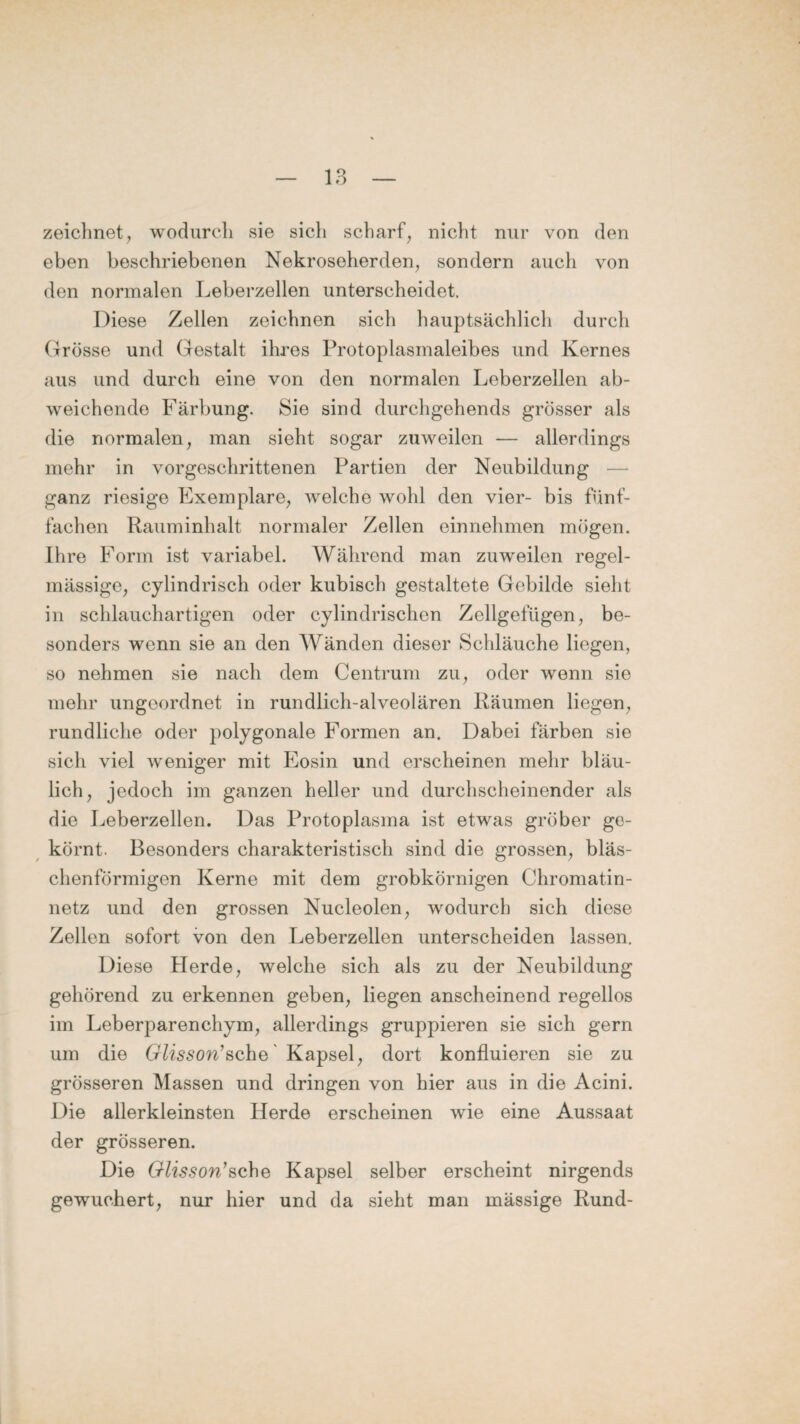 zeichnet, wodurch sie sich scharf, nicht nur von den eben beschriebenen Nekroseherden, sondern auch von den normalen Leberzellen unterscheidet. Diese Zellen zeichnen sich hauptsächlich durch Grösse und Gestalt ihres Protoplasmaleibes und Kernes aus und durch eine von den normalen Leberzellen ab¬ weichende Färbung. Sie sind durchgehends grösser als die normalen, man sieht sogar zuweilen — allerdings mehr in vorgeschrittenen Partien der Neubildung ganz riesige Exemplare, welche wohl den vier- bis fünf¬ fachen Rauminhalt normaler Zellen einnehmen mögen. Ihre Form ist variabel. Während man zuweilen regel¬ mässige, cylindrisch oder kubisch gestaltete Gebilde sieht in schlauchartigen oder cylindrischen Zellgefügen, be¬ sonders wenn sie an den Wänden dieser Schläuche liegen, so nehmen sie nach dem Centrum zu, oder wenn sie mehr ungeordnet in rundlich-alveolären Räumen liegen, rundliche oder polygonale Formen an. Dabei färben sie sich viel weniger mit Eosin und erscheinen mehr bläu¬ lich, jedoch im ganzen heller und durchscheinender als die Leberzellen. Das Protoplasma ist etwas gröber ge¬ körnt. Besonders charakteristisch sind die grossen, bläs¬ chenförmigen Kerne mit dem grobkörnigen Chromatin¬ netz und den grossen Nucleolen, wodurch sich diese Zellen sofort von den Leberzellen unterscheiden lassen. Diese Herde, welche sich als zu der Neubildung gehörend zu erkennen geben, liegen anscheinend regellos im Leberparenchym, allerdings gruppieren sie sich gern um die Glisson* sehe Kapsel, dort konfluieren sie zu grösseren Massen und dringen von hier aus in die Acini. Die allerkleinsten Herde erscheinen wie eine Aussaat der grösseren. Die Glisson*sehe Kapsel selber erscheint nirgends gewuchert, nur hier und da sieht man mässige Rund-