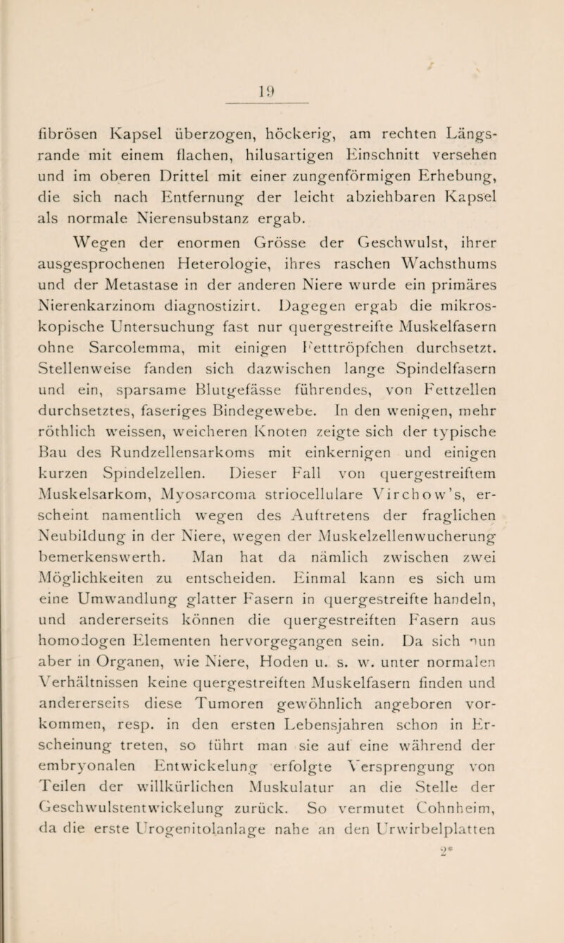 1<) fibrösen Kapsel überzogen, höckerig, am rechten Längs¬ rande mit einem flachen, hilusartigen Einschnitt versehen und im oberen Drittel mit einer zungenförmigen Erhebung, die sich nach Entfernung der leicht abziehbaren Kapsel als normale Nierensubstanz ergab. Wegen der enormen Grösse der Geschwulst, ihrer ausgesprochenen Heterologie, ihres raschen Wachsthums und der Metastase in der anderen Niere wurde ein primäres Nierenkarzinom diagnostizirt. Dagegen ergab die mikros¬ kopische Untersuchung fast nur quergestreifte Muskelfasern ohne Sarcolemma, mit einigen Eetttröpfchen durchsetzt. Stellenweise fanden sich dazwischen lange Spindelfasern und ein, sparsame Blutgefässe führendes, von Bettzellen durchsetztes, faseriges Bindegewebe. In den wenigen, mehr röthlich weissen, weicheren Knoten zeigte sich der typische Bau des Rundzellensarkoms mit einkernigen und einigen kurzen Spindelzellen. Dieser Fall von quergestreiftem Muskelsarkom, Myosarcoma striocellulare Yirchow’s, er¬ scheint namentlich wegen des Auftretens der fraglichen Neubildung in der Niere, wegen der Muskelzellenwucherung bemerkenswert^ Man hat da nämlich zwischen zwei Möglichkeiten zu entscheiden. Einmal kann es sich um eine Umwandlung glatter Easern in quergestreifte handeln, und andererseits können die quergestreiften Easern aus homodogen Elementen hervorgegangen sein. Da sich nun aber in Organen, wie Niere, Hoden u. s. w. unter normalen Verhältnissen keine quergestreiften Muskelfasern finden und andererseits diese Tumoren gewöhnlich angeboren Vor¬ kommen, resp. in den ersten Lebensjahren schon in Er¬ scheinung treten, so führt man sie auf eine während der embryonalen Entwickelung erfolgte Versprengung von Teilen der willkürlichen Muskulatur an die Stelle der Geschwulstentwickelung zurück. So vermutet Cohnheim, da die erste Urogenitolanlage nahe an den Urwirbelplatten 9*
