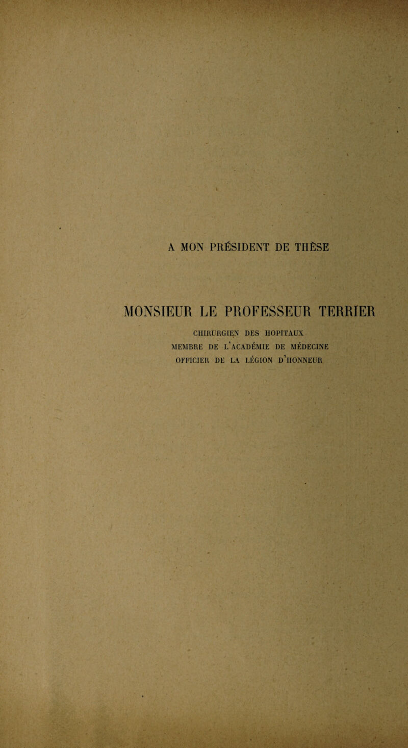 A MON PRÉSIDENT DE THÈSE MONSIEUR LE PROFESSEUR TERRIER CHIRURGIEN DES HOPITAUX MEMBRE DE L ACADÉMIE DE MÉDECINE OFFICIER DE LA LÉGION D’HONNEUR