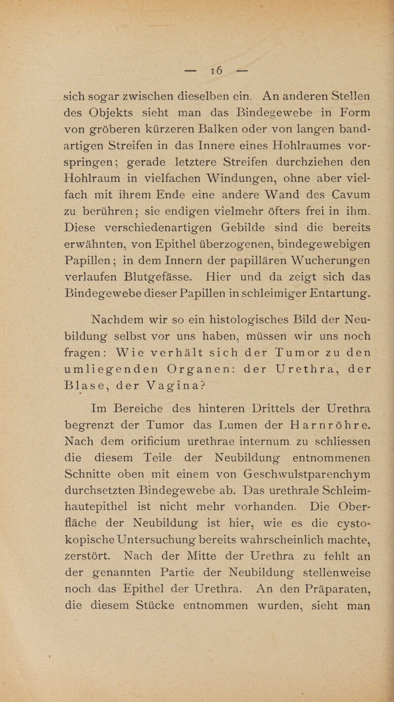 sich sogar zwischen dieselben ein. An anderen Stellen des Objekts sieht man das Bindegewebe in Form von gröberen kürzeren Balken oder von langen band¬ artigen Streifen in das Innere eines Hohlraumes vor¬ springen; gerade letztere Streifen durchziehen den Hohlraum in vielfachen Windungen, ohne aber viel¬ fach mit ihrem Ende eine andere Wand des Cavum zu berühren; sie endigen vielmehr öfters frei in ihm. Diese verschiedenartigen Gebilde sind die bereits erwähnten, von Epithel überzogenen, bindegewebigen Papillen; in dem Innern der papillären Wucherungen verlaufen Blutgefässe. Hier und da zeigt sich das Bindegewebe dieser Papillen in schleimiger Entartung. Nachdem wir so ein histologisches Bild der Neu¬ bildung selbst vor uns haben, müssen wir uns noch fragen: Wieverhält sich der Tumor zu den umliegenden Organen: der Urethra, der Blase, der Vagina? Im Bereiche des hinteren Drittels der Urethra begrenzt der Tumor das Lumen der Harnröhre. Nach dem orificium urethrae internum zu schliessen die diesem Teile der Neubildung entnommenen Schnitte oben mit einem von Geschwulstparenchym durchsetzten Bindegewebe ab. Das urethrale Schleim¬ hautepithel ist nicht mehr vorhanden. Die Ober¬ fläche der Neubildung ist hier, wie es die cysto- kopische Untersuchung bereits wahrscheinlich machte, zerstört. Nach der Mitte der Urethra zu fehlt an der genannten Partie der Neubildung stellenweise noch das Epithel der Urethra. An den Präparaten, die diesem Stücke entnommen wurden, sieht man