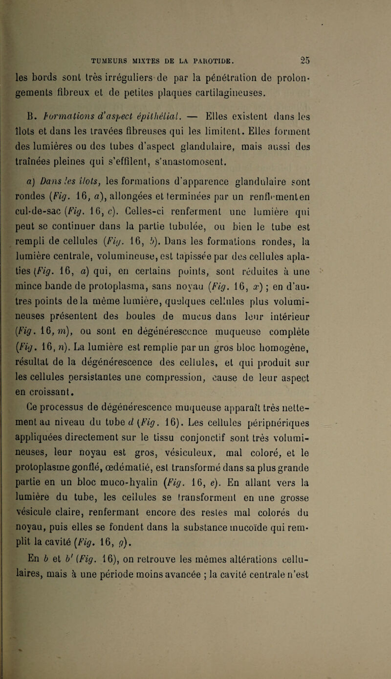 les bords sont très irréguliers de par la pénétration de prolon¬ gements fibreux et de petites plaques cartilagineuses. B. bormations d'aspect épithélial. — Elles existent dans les îlots et dans les travées fibreuses qui les limitent. Elles forment des lumières ou des tubes d’aspect glandulaire, mais aussi des traînées pleines qui s’effilent, s’anastomosent. a) Dans les îlots, les formations d'apparence glandulaire sont rondes (Fig. 16, «), allongées et terminées par un renflement en cul-de-sac (Fig. 16, c). Celles-ci renferment une lumière qui peut se continuer dans la partie tubulée, ou bien le tube est rempli de cellules (Fig. 16, b). Dans les formations rondes, la lumière centrale, volumineuse, est tapissée par des cellules apla¬ ties (Fig. 16, a) qui, en certains points, sont réduites aune mince bande de protoplasma, sans noyau (Fig. 16, x) ; en d’au¬ tres points delà même lumière, quelques cellules plus volumi¬ neuses présentent des boules de mucus dans leur intérieur (Fig. 16, m), ou sont en dégénérescence muqueuse complète (Fig. 16, n). La lumière est remplie par un gros bloc homogène, résultat de la dégénérescence des cellules, et qui produit sur les cellules persistantes une compression, cause de leur aspect en croissant. Ce processus de dégénérescence muqueuse apparaît très nette¬ ment au niveau du tubed(A'#. 16). Les cellules péripnériques appliquées directement sur le tissu conjonctif sont très volumi¬ neuses, leur noyau est gros, vésiculeux, mal coloré, et le protoplasme gonflé, œdématié, est transformé dans sa plus grande partie en un bloc muco-hyalin (Fig. 16, e). En allant vers la lumière du tube, les cellules se transforment en une grosse vésicule claire, renfermant encore des restes mal colorés du noyau, puis elles se fondent dans la substance mucoïde qui rem¬ plit la cavité (Fig. 16, g). En b et b' (Fig. 16), on retrouve les mêmes altérations cellu¬ laires, mais à une période moins avancée ; la cavité centrale n’est