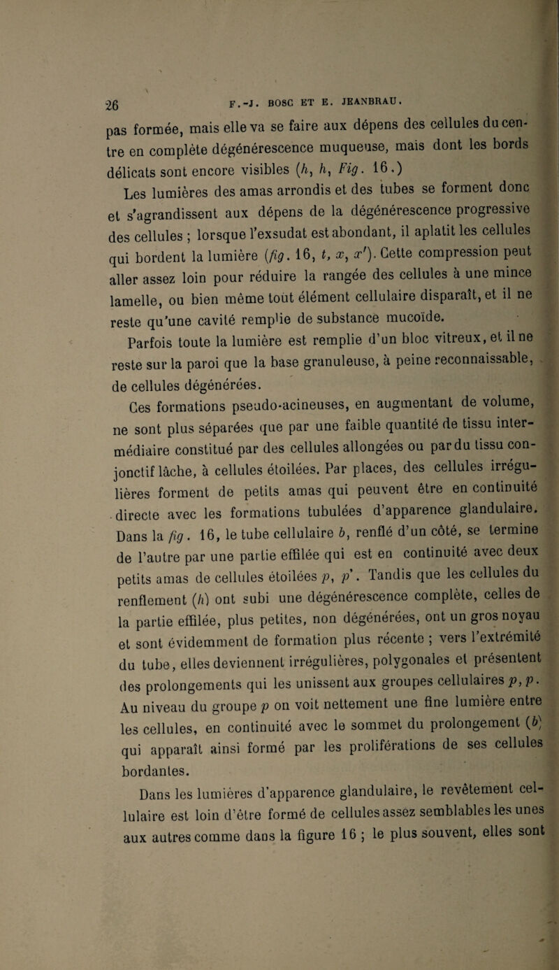 pas formée, mais elle va se faire aux dépens des cellules du cen¬ tre en complète dégénérescence muqueuse, mais dont les bords délicats sont encore visibles (/*-, /i, Fig. 16.) Les lumières des amas arrondis et des tubes se forment donc et s'agrandissent aux dépens de la dégénérescence progressive des cellules ; lorsque l’exsudât est abondant, il aplatit les cellules qui bordent la lumière (fig. 16, t, a?, oc'). Cette compression peut aller assez loin pour réduire la rangée des cellules à une mince lamelle, ou bien même tout élément cellulaire disparaît, et il ne reste qu’une cavité rempUe de substance mucoïde. Parfois toute la lumière est remplie d’un bloc vitreux, et il ne reste sur la paroi que la base granuleuse, à peine reconnaissable, de cellules dégénérées. Ces formations pseudo-acineuses, en augmentant de volume, ne sont plus séparées que par une faible quantité de tissu inter¬ médiaire constitué par des cellules allongées ou par du tissu con¬ jonctif lâche, 'a cellules étoilées. Par places, des cellules irrégu¬ lières forment de petits amas qui peuvent être en continuité directe avec les formations tubulées d apparence glandulaire. Dans la fig. 16, le tube cellulaire b, renflé d’un côté, se termine de l’autre par une partie effilée qui est en continuité avec deux petits amas de cellules étoilées p% p . Tandis que les cellules du renflement (h) ont subi une dégénérescence complète, celles de la partie effilée, plus petites, non dégénérées, ont un gros noyau et sont évidemment de formation plus récente ; vers l’extrémité du tube, elles deviennent irrégulières, polygonales et présentent des prolongements qui les unissent aux groupes cellulaires p, p. Au niveau du groupe p on voit nettement une fine lumière entre les cellules, en continuité avec le sommet du prolongement (b) qui apparaît ainsi formé par les proliférations de ses cellules bordantes. Dans les lumières d’apparence glandulaire, le revêtement cel¬ lulaire est loin d’être formé de cellules assez semblables les unes aux autres comme dans la figure 16 ; le plus souvent, elles sont