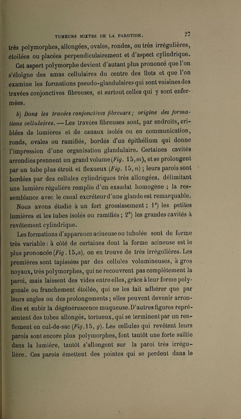 très polymorphes,allongées,ovales, rondes, outrés irrégulières, étoilées ou placées perpendiculairement et d’aspect cylindrique. Cet aspect polymorphe devient d’autant plus prononcé que l’on s’éloigne des amas cellulaires du centre des îlots et que l’on examine les formations pseudo-glandulaires qui sont voisines des travées conjonctives fibreuses, et surtout celles qui y sont enfer¬ mées. b) Dans les travées conjonctives fibreuses ; origine des forma¬ tions cellulaires.—Les travées fibreuses sont, par endroits, cri¬ blées de lumières et de canaux isolés ou en communication, ronds, ovales ou ramifiés, bordés d’un épithélium qui donne l’impression d’une organisation glandulaire. Certaines cavités arrondies prennent un grand volume [Fig. 15,m), et se prolongent par un tube plus étroit et flexueux (Fig. 15, n) ; leurs parois sont bordées par des cellules cylindriques très allongées, délimitant une lumière régulière remplie d’un exsudât homogène ; la res¬ semblance avec le canal excréteurd’une glande est remarquable. Nous avons étudié à un fort grossissement: 1°) les petites lumières et les tubes isolés ou ramifiés ; 2°) les grandes cavités à revêtement cylindrique. Les formations d’apparence acineuse ou tubulée sont déformé très variable : à côté de certaines dont la forme acineuse est le plus prononcée (Fig. 15,&), on en trouve de très irrégulières. Les premières sont tapissées par des cellules volumineuses, à gros noyaux, très polymorphes, qui ne recouvrent pas complètement la paroi, mais laissent des vides entre elles, grâce à leur forme poly¬ gonale ou franchement étoilée, qui ne les fait adhérer que par leurs angles ou des prolongements ; elles peuvent devenir arron¬ dies et subir la dégénérescence muqueuse.D’autresfigures repré¬ sentent des tubes allongés, tortueux, qui se terminent par un ren¬ flement en cul-de-sac (Fig Ab, g). Les cellules qui revêtent leurs parois sont encore plus polymorphes, font tantôt une forte saillie dans la lumière, tantôt s’allongent sur la paroi très irrégu¬ lière. Ces parois émettent des pointes qui se perdent dans le