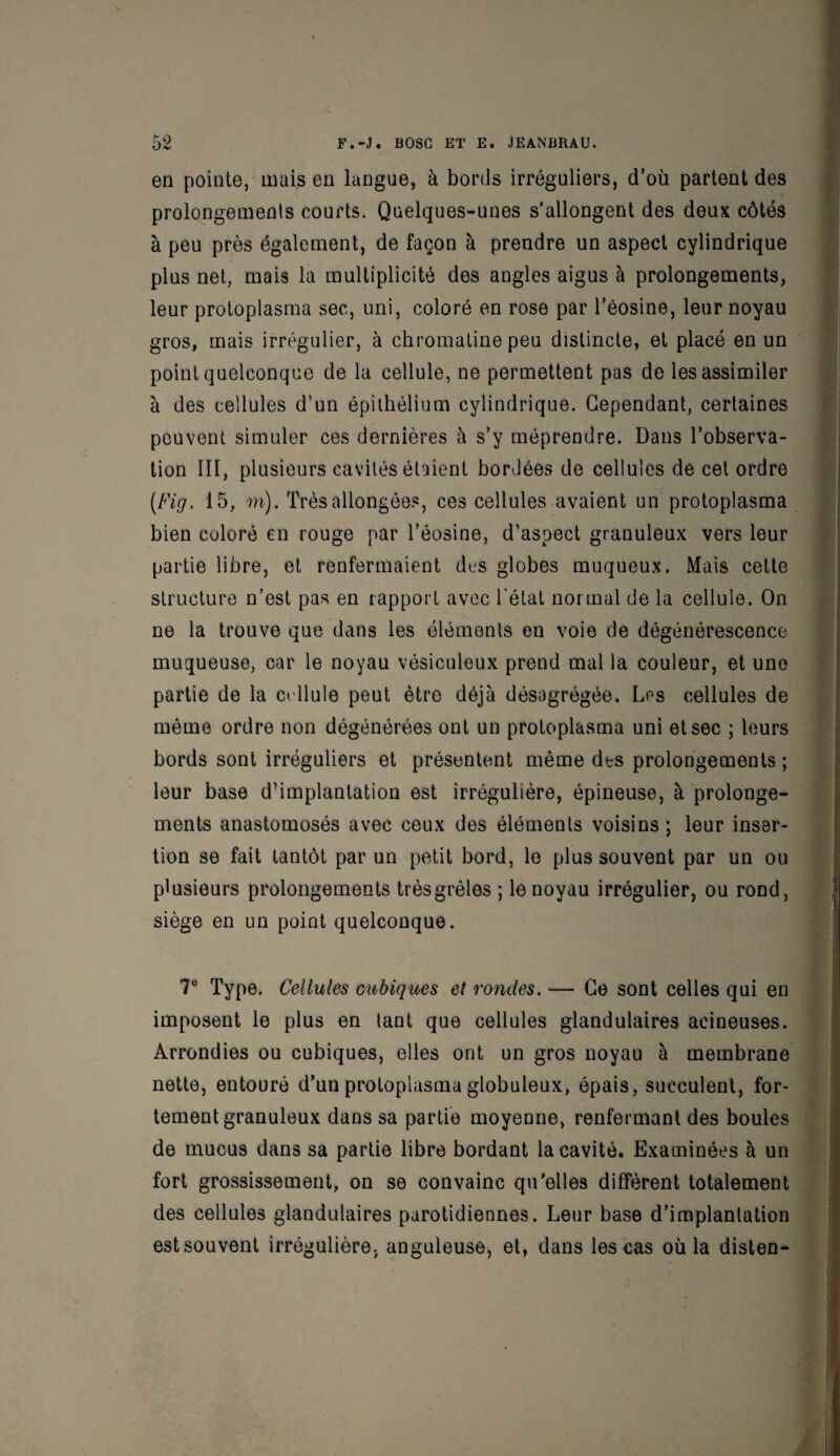 en pointe, mais en langue, à bords irréguliers, d’où partent des prolongements courts. Quelques-unes s'allongent des deux côtés à peu près également, de façon à prendre un aspect cylindrique plus net, mais la multiplicité des angles aigus à prolongements, leur protoplasma sec, uni, coloré en rose par l’éosine, leur noyau gros, mais irrégulier, à chromatine peu distincte, et placé en un point quelconque de la cellule, ne permettent pas de les assimiler à des cellules d’un épithélium cylindrique. Cependant, certaines peuvent simuler ces dernières à s’y méprendre. Dans l’observa¬ tion III, plusieurs cavités étaient bordées de cellules de cet ordre [Fig. 15, m). Très allongées, ces cellules avaient un protoplasma bien coloré en rouge par l’éosine, d’aspect granuleux vers leur partie libre, et renfermaient des globes muqueux. Mais cette structure n’est pas en rapport avec l'état normal de la cellule. On ne la trouve que dans les éléments en voie de dégénérescence muqueuse, car le noyau vésiculeux prend mal la couleur, et une partie de la crllule peut être déjà désagrégée. Les cellules de même ordre non dégénérées ont un protoplasma uni et sec ; leurs bords sont irréguliers et présentent même des prolongements ; leur base d’implantation est irrégulière, épineuse, à prolonge¬ ments anastomosés avec ceux des éléments voisins ; leur inser¬ tion se fait tantôt par un petit bord, le plus souvent par un ou plusieurs prolongements très grêles ; le noyau irrégulier, ou rond, siège en un point quelconque. 7e Type. Cellules cubiques et rondes. — Ce sont celles qui en imposent le plus en tant que cellules glandulaires acineuses. Arrondies ou cubiques, elles ont un gros noyau à membrane nette, entouré d’un protoplasma globuleux, épais, succulent, for¬ tement granuleux dans sa partie moyenne, renfermant des boules de mucus dans sa partie libre bordant la cavité. Examinées à un fort grossissement, on se convainc qu’elles diffèrent totalement des cellules glandulaires parotidiennes. Leur base d’implantation est souvent irrégulière, anguleuse, et, dans les cas où la disten-