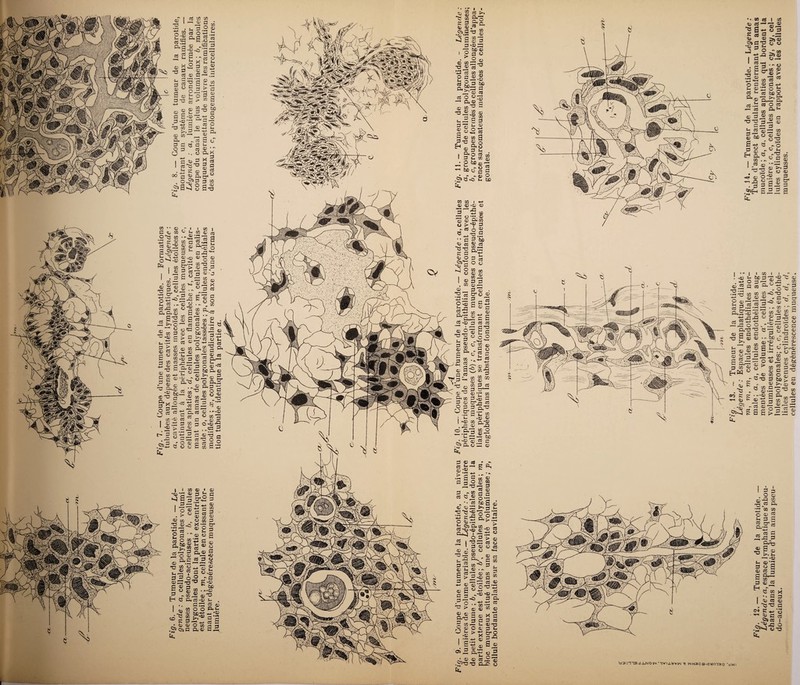 A3 G 3 G i—< a_> c3 § g «3 of «S CO <V £h • *«* CC O, O o «S 3 § -g O 3 =3 b 03 o3 S-c O A3 X© S ce o t* 3 O S (D 3 *fl O O J3 'b G'g o ci O s- G © 3 3 t- S*® -A *0 X 5 73 G-© ’G o o es o u fn a.' £ 3 h-* G O) O G 3 >?_2 CD G Oh 3 G O 3 3 G ^ O bO © ~ G 3/£ © «52 Oh „ G « G CL> 5 O O 3 O, X X g 5 a o 3 5 30 O ^2^° O.S5 G 3 «J .«*53855 i ! G^S73 s g •• O C © G 0^3 g 3g® G © )22 G °î‘G o^-œ ^ . G 3 <u -o . 3 g —• ® ® &°. o-* *h ço O 'o 10 O, Oh D .S'a 5S >»o ,, ■ Ch ® ce 3 s t- -3 fl f> G O G ® a o g S co fl CO G 5-g 5 G 73 en G c O) G3 ® © *c cl.©; ^ tic. 0*3 -, §* X O JSï U-ï Pj§ .os-g e •ïnS ^ Et. © © • H © •H-H g a <u © G © 3 O .© 3 — 2 g S ° co © <u . „ ,fl 3 G3 G 8*® ü h CB rr, S G o) c eu - G G OGl O © bc > C >, G ©*3 0) CO CL .PH CD s- —* co o D a> Oh©1 © c 3 ae ° . - © G jo 7=1 © CO .g *3 G G g ■g O.G 8 * fl fl co AS A g .2 a ^-3 O CG*~ ® O S CB *fl 3 3 fl ^3 fl ®’J S«a) 8~ x ° fl G 3 © G 53 o O • - x © 73 s. ■G » £ © -G t ‘© G - co — a * flï G ü t •© Lfl 0 8 G c *3 © o 2 Gh- o <D 'c bc cl a ^3 = o o*; Gnfl -g co o c © «2 G 3 •G G g = - G O r? O C C = «' © • •-• © CO *• © 0-3 ' «3 • * . 3 3fl 'S ° G fl . co G . -J WW HH P G © ^ O ai co ~ -§ 3 © G73 2güi® 2 g-2 ® â|=G g1© fl g o ©r^ ^ 1 ® (O13 M *fl © ■£ © ■g*® « lG G a 3 G © © g ©£ G G © co 2 3-fl © o ^ Ss2 I §■£§! G,0E3o- -« S) O c : • « - © c Z t Es. '• G G tue © G © G XS A3 2 — G 3 tz *2 g G _h O O C kJ O CO ^ O <U co I C» c a> P . co 53 h CL 3 5.2 g*1 2*2 S ; G« ^ t: t/j aû® Cti'O) 3 ~<1 . rP 3 0*3 3 3 g © g - G 8 ° © Oh - g « 5 g 3 St 3 © 3 Oh JC 3 © -P 2 ÎJ 3 • pH i v* I *3 . »G O O-' ■■ .■ • pH S- I • '<L> .^Gh s ©-* g G, ) -(D «*» • t~4 ~f o • ^ ; S c « ® ; G O © ot JS TJ 3 3 J CO <*H |-H : G © g .2 .  • 3 bC S © ) ®G Xfl L ! Ç5 *© G — ’3 ; «6 DhP^ ; <3> O, co g aI^ 3 i ,55^8 3 3 © G © Ü «hh G Ohv * • o li3 G5 ; g ' c 3 3 •fl © G X pi73' G «*3 -3 3 3 73 3 3 O > 3 G •3 5 3 O £ > 3 3 Hh 3 « © © 3 © 3 §5 3 3-fl ?H m rr1, 3 X fl C 3 G S- 3 T3 3 3© tr o fl-G S ©£ O-T- Es, G G | G fl —* •—; 3 s ®- © “C s © o»fl3 © fl © J O ■P» jQ a G -wH s ^ S-H 3 ü 3 G G „fl3 2 >ï© © o < » r-Ji © © 3 . ~ ü OhG © «^ © > GG ^ 3 fl H-> O © 3 3 O 3 © G bfi 2 &® o.^è 3 -S 3 O G •iS G A © G © 3 •fl 3 fl JH = 3 3 A— © — S S -g G -O O O t. '5|b?1 5311 G 3 _ 3 © 3 G 3 3 &* © -Q 3 G -g G Oh •J2 G G O 3 G L3S o..2H« w co G iS-G 3 ü tx s-, —, .© © 'G - © G 3 G fl S £b— c G . © G 3 A3 &H 3 3 _ ^ tf 3 x l * • g fl © G © . Xi A3 fl Cn» S — ‘G © fl Û» G ® Jü Et. bamadvLNoiN'ivnyvw ^ ^Haoa-o^oiaa *dwi