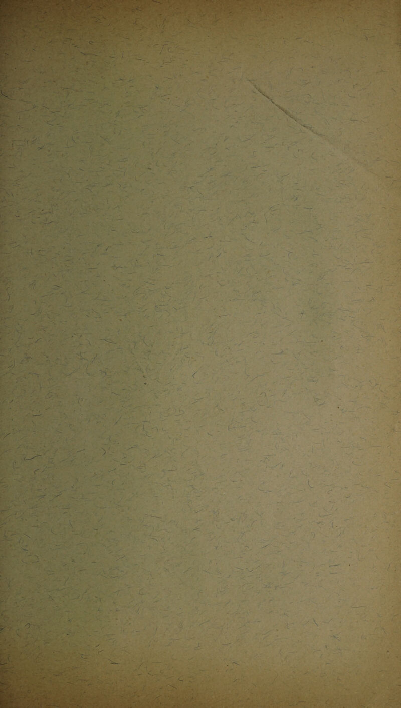 X ; ' - . t -'V ' ' r • r •■ ■ S - -, c : • ‘ • > • • - i _ - -'s* 'f i ■ - V ’ / -V > r- XX' t - ' ~ - - ; s Ÿ'' ~- 7 S ^ MJ - ■ ■ y;. < ' n \ ; y gjc’ \ _■ ./ . ■ ^ y -> . - x . ) k ; - % .:• v ;..V ‘‘f v * H ■ ■; ^ ' x x rr '- • r . . j , } •' ' V. \ - • —-f- X- ✓ . ' -r\ c/'Y ; ;' r --- T— X - - 4) ' > \ fcr ■ 0 V' • y. ■ . ■srn • •. 'J v_ - r “*T '' jâr j ■ / ■ ' ■ '■■ -c • ■->-<• ' X :• . ■:. —' ■ itv / I v- • V. ' i P - ; -, *r . - w -(0- ■ , -’v • C •  — v • ... '^ . ' ■ ,.v. - r ■ ; y ■■•* ' s ... * ' v --- tp . s 7 — J I X • ■> /■ X’ ■ - -y v ’ ✓ / .6. - ’•  ■ L ■ x . ' 7. - . — ' - . • -. -' « z i-à •v -•'• v% ■ , ' _ / - .-1: .. •' y >>• ' ; ' ' • -r ’ i -, • f j ... . * • '. • '' . ) ' x- - ,\ r ; - . / :-l' 1 - o : ' ' 4 ^ r~ •: ' l •' • * »- asy'- \ -**%• - r* •' * . ■> x4' •'■ •<- y - / - / --y,,- • •C ~ -T 'f ^ - ~ ‘ < - ?X.\ • -r • ^ /)- V .•< r X ■ ’ ' V Sf V ^ ^ , •__ 7- T ' , ' J ^ . * ç v '* i y , v ■ y, / y! ' ■ . ' Xz < ' ;* / iv ■■ J ? /, C > r ■ c- r . x ■ r { C . k- J1 l :. f r* > y ' ■ i ' ~ -1 ,