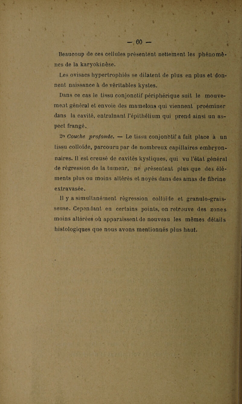 Beaucoup de ces cellules présentent nettement les phénomè¬ nes de la karyokinèse. * Les ovisacs hypertrophiés se dilatent de plus en plus et don¬ nent naissance à de véritables kystes. Dans ce cas le tissu conjonctif périphérique suit le mouve¬ ment général et envoie des mamelons qui viennent proéminer dans la cavité, entraînant l’épithélium qui prend ainsi un as¬ pect frangé. 2o Couche pro/onde. — Le tissu conjonbtif a fait place à un tissu colloïde, parcouru par de nombreux capillaires embryon¬ naires. Il est creusé de cavités kystiques, qui vu l’état général de régression de la tumenr, ne présentent plus que des élé¬ ments plus ou moins altérés et noyés dans des amas de fibrine extravasée. 11 y a simultanément régression colloïde et granulo-grais- seuse. Cependant en certains points, on retrouve des zones moins altérées où apparaissent de nouveau les mêmes détails histologiques que nous avons mentionnés plus haut.