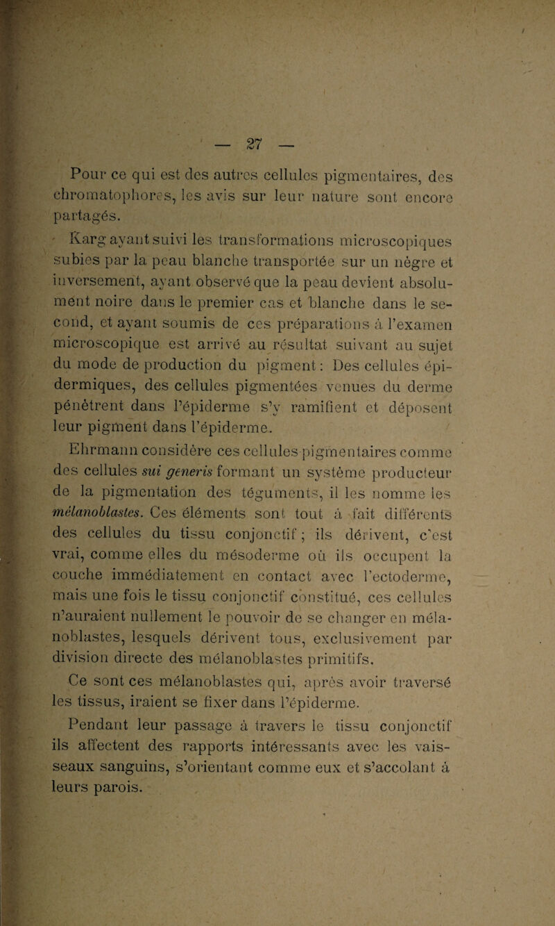 Pour ce qui est des autres cellules pigmentaires, des chromatophores, les avis sur leur nature sont encore partagés. / Karg ayant suivi les transformations microscopiques subies par la peau blanche transportée sur un nègre et inversement, ayant observé que la peau devient absolu¬ ment noire dans le premier cas et blanche dans le se¬ cond, et avant soumis de ces préparations à l’examen microscopique est arrivé au résultat suivant au sujet du mode de production du pigment : Des cellules épi¬ dermiques, des cellules pigmentées venues du derme pénètrent dans l’épiderme s’y ramifient et déposent leur pigment dans l’épiderme. Ehrmann considère ces cellules pigmentaires comme des cellules sui generis formant un système producteur de la pigmentation des téguments, il les nomme les mêlanoblastes. Ces éléments sont tout à fait différents des cellules du tissu conjonctif ; ils dérivent, c'est vrai, comme elles du mésoderme où ils occupent la couche immédiatement en contact avec l’ectoderme, mais une fois le tissu conjonctif constitué, ces cellules n’auraient nullement le pouvoir de se changer en méla- noblastes, lesquels dérivent tous, exclusivement par division directe des mêlanoblastes primitifs. Ce sont ces mêlanoblastes qui, après avoir traversé les tissus, iraient se fixer dans l’épiderme. Pendant leur passage à travers le tissu conjonctif ils affectent des rapports intéressants avec les vais¬ seaux sanguins, s’orientant comme eux et s’accolant à leurs parois.