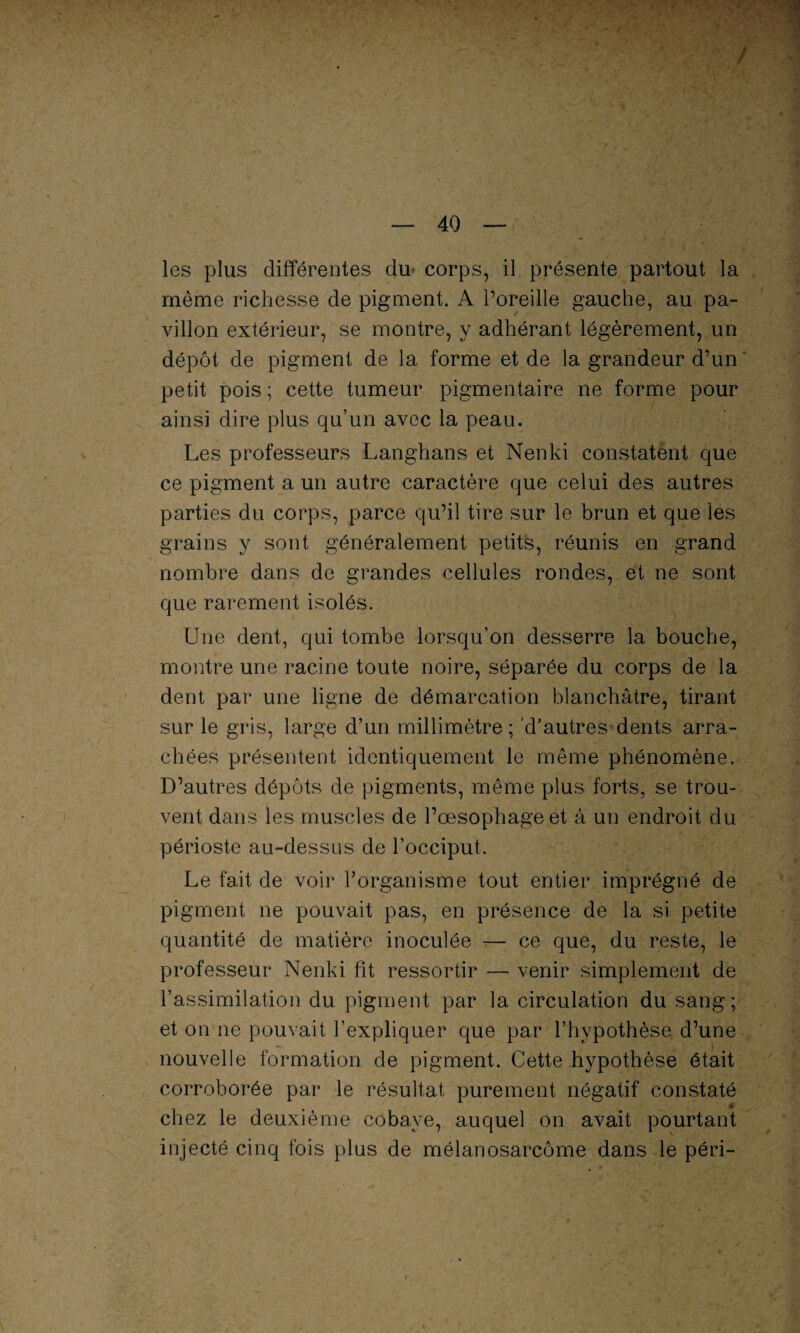 les plus différentes du corps, il présente partout la même richesse de pigment. A l’oreille gauche, au pa¬ villon extérieur, se montre, y adhérant légèrement, un dépôt de pigment de la forme et de la grandeur d’un petit pois ; cette tumeur pigmentaire ne forme pour ainsi dire plus qu’un avec la peau. Les professeurs Langhans et Nenki constatent que ce pigment a un autre caractère que celui des autres parties du corps, parce qu’il tire sur le brun et que les grains y sont généralement petits, réunis en grand nombre dans de grandes cellules rondes, et ne sont que rarement isolés. Une dent, qui tombe lorsqu’on desserre la bouche, montre une racine toute noire, séparée du corps de la dent par une ligne de démarcation blanchâtre, tirant sur le gris, large d’un millimètre ; d’autres dents arra¬ chées présentent identiquement le même phénomène. D’autres dépôts de pigments, même plus forts, se trou¬ vent dans les muscles de l’œsophage et à un endroit du périoste au-dessus de l’occiput. Le fait de voir l’organisme tout entier, imprégné de pigment ne pouvait pas, en présence de la si petite quantité de matière inoculée — ce que, du reste, le professeur Nenki fit ressortir — venir simplement de l’assimilation du pigment par la circulation du sang; et on ne pouvait l’expliquer que par l’hypothèse d’une nouvelle formation de pigment. Cette hypothèse était corroborée par le résultat purement négatif constaté ê chez le deuxième cobaye, auquel on avait pourtant injecté cinq fois plus de mélanosarcôme dans le péri- i