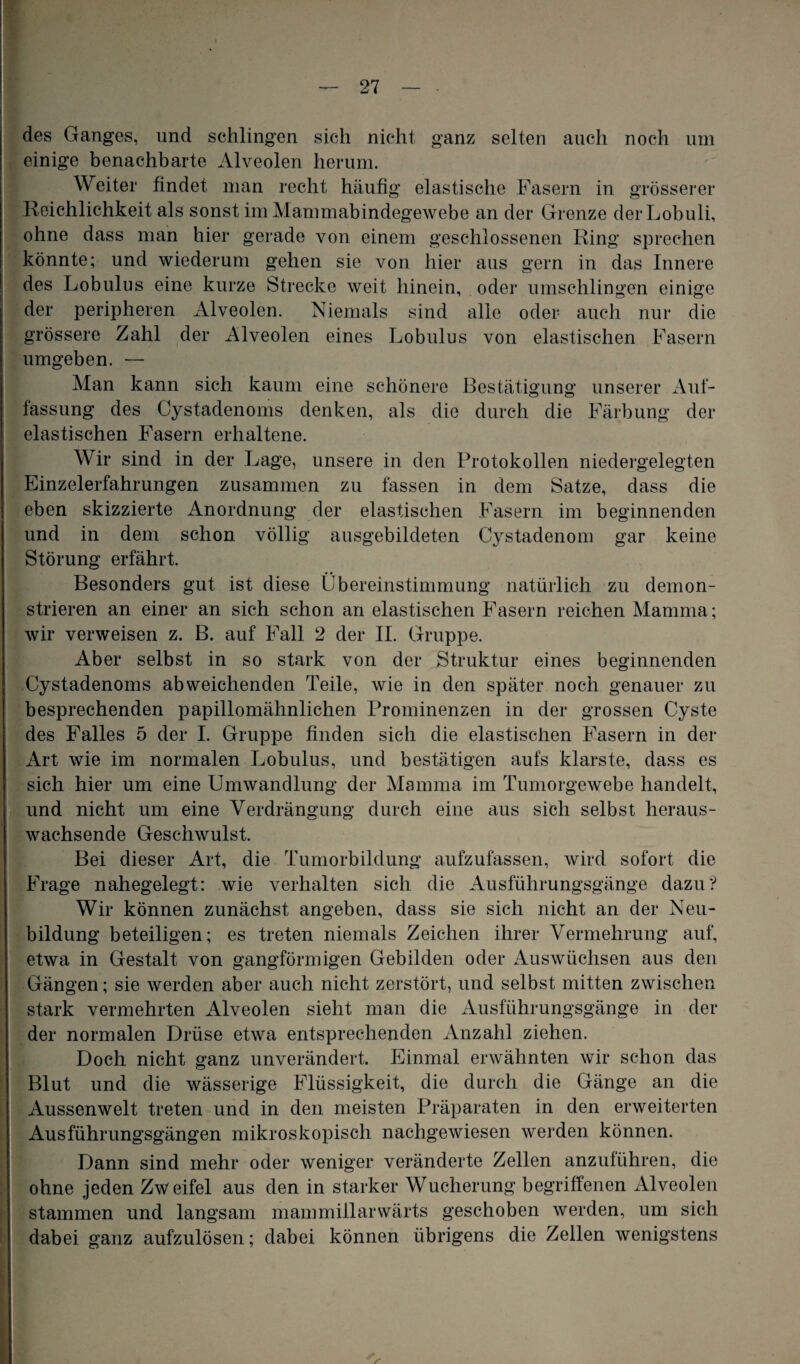 des Ganges, und schlingen sich nicht ganz selten auch noch um einige benachbarte Alveolen herum. Weiter findet man recht häufig elastische Fasern in grösserer Reichlichkeit als sonst im Mammabindegewebe an der Grenze derLobuli, ohne dass man hier gerade von einem geschlossenen Ring sprechen könnte; und wiederum gehen sie von hier aus gern in das Innere des Lobulus eine kurze Strecke weit hinein, oder umschlingen einige der peripheren Alveolen. Niemals sind alle oder auch nur die grössere Zahl der Alveolen eines Lobulus von elastischen Fasern umgeben. — Man kann sich kaum eine schönere Bestätigung unserer Auf¬ fassung des Cystadenoms denken, als die durch die Färbung der elastischen Fasern erhaltene. Wir sind in der Lage, unsere in den Protokollen niedergelegten Einzelerfahrungen zusammen zu fassen in dem Satze, dass die eben skizzierte Anordnung der elastischen Fasern im beginnenden und in dem schon völlig ausgebildeten Cystadenom gar keine Störung erfährt. Besonders gut ist diese Übereinstimmung natürlich zu demon¬ strieren an einer an sich schon an elastischen Fasern reichen Mamma; wir verweisen z. B. auf Fall 2 der II. Gruppe. Aber selbst in so stark von der Struktur eines beginnenden Cystadenoms abweichenden Teile, wie in den später noch genauer zu besprechenden papillomähnlichen Prominenzen in der grossen Cyste des Falles 5 der I. Gruppe finden sich die elastischen Fasern in der Art wie im normalen Lobulus, und bestätigen aufs klarste, dass es sich hier um eine Umwandlung der Mamma im Tumorgewebe handelt, und nicht um eine Verdrängung durch eine aus sich selbst heraus¬ wachsende Geschwulst. Bei dieser Art, die Tumorbildung aufzufassen, wird sofort die Frage nahegelegt: wie verhalten sich die Ausführungsgänge dazu? Wir können zunächst angeben, dass sie sich nicht an der Neu¬ bildung beteiligen; es treten niemals Zeichen ihrer Vermehrung auf, etwa in Gestalt von gangförmigen Gebilden oder Auswüchsen aus den Gängen; sie werden aber auch nicht zerstört, und selbst mitten zwischen stark vermehrten Alveolen sieht man die Ausführungsgänge in bei¬ der normalen Drüse etwa entsprechenden Anzahl ziehen. Doch nicht ganz unverändert. Einmal erwähnten wir schon das Blut und die wässerige Flüssigkeit, die durch die Gänge an die Aussenwelt treten und in den meisten Präparaten in den erweiterten Ausführungsgängen mikroskopisch nachgewiesen werden können. Dann sind mehr oder weniger veränderte Zellen anzuführen, die ohne jeden Zweifel aus den in starker Wucherung begriffenen Alveolen stammen und langsam mammillarwärts geschoben werden, um sich dabei ganz aufzulösen; dabei können übrigens die Zellen wenigstens