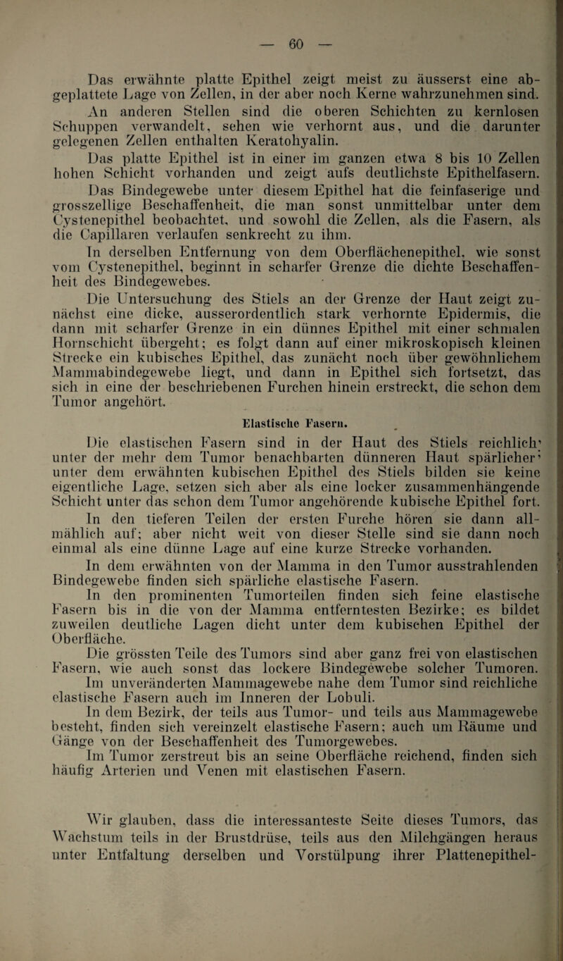 Das erwähnte platte Epithel zeigt meist zu äusserst eine ab¬ geplattete Lage von Zellen, in der aber noch Kerne wahrzunehmen sind. An anderen Stellen sind die oberen Schichten zu kernlosen Schuppen verwandelt, sehen wie verhornt aus, und die darunter gelegenen Zellen enthalten Iveratohyalin. Das platte Epithel ist in einer im ganzen etwa 8 bis 10 Zellen hohen Schicht vorhanden und zeigt aufs deutlichste Epithelfasern. Das Bindegewebe unter diesem Epithel hat die feinfaserige und grosszeilige Beschaffenheit, die man sonst unmittelbar unter dem Cystenepithel beobachtet, und sowohl die Zellen, als die Fasern, als die Capillaren verlaufen senkrecht zu ihm. In derselben Entfernung von dem Oberflächenepithel, wie sonst vom Cystenepithel, beginnt in scharfer Grenze die dichte Beschaffen¬ heit des Bindegewebes. Die Untersuchung des Stiels an der Grenze der Haut zeigt zu¬ nächst eine dicke, ausserordentlich stark verhornte Epidermis, die dann mit scharfer Grenze in ein dünnes Epithel mit einer schmalen Hornschicht übergeht; es folgt dann auf einer mikroskopisch kleinen Strecke ein kubisches Epithel, das zunächt noch über gewöhnlichem Mammabindegewebe liegt, und dann in Epithel sich fortsetzt, das sich in eine der beschriebenen Furchen hinein erstreckt, die schon dem Tumor angehört. Elastische Fasern. Die elastischen Fasern sind in der Haut des Stiels reichlich; unter der mehr dem Tumor benachbarten dünneren Haut spärlicher’ unter dem erwähnten kubischen Epithel des Stiels bilden sie keine eigentliche Lage, setzen sich aber als eine locker zusammenhängende Schicht unter das schon dem Tumor angehörende kubische Epithel fort. ln den tieferen Teilen der ersten Furche hören sie dann all¬ mählich auf; aber nicht weit von dieser Stelle sind sie dann noch einmal als eine dünne Lage auf eine kurze Strecke vorhanden. ln dem erwähnten von der Mamma in den Tumor ausstrahlenden Bindegewebe finden sich spärliche elastische Fasern. ln den prominenten Tumorteilen finden sich feine elastische Fasern bis in die von der Mamma entferntesten Bezirke; es bildet zuweilen deutliche Lagen dicht unter dem kubischen Epithel der Oberfläche. Die grössten Teile des Tumors sind aber ganz frei von elastischen Fasern, wie auch sonst das lockere Bindegewebe solcher Tumoren. Im unveränderten Mammagewebe nahe dem Tumor sind reichliche elastische Fasern auch im Inneren der Lobuli. ln dem Bezirk, der teils aus Tumor- und teils aus Mammagewebe besteht, finden sich vereinzelt elastische Fasern; auch um Räume und Gänge von der Beschaffenheit des Tumorgewebes. Im Tumor zerstreut bis an seine Oberfläche reichend, finden sich häufig Arterien und Venen mit elastischen Fasern. • • Wir glauben, dass die interessanteste Seite dieses Tumors, das Wachstum teils in der Brustdrüse, teils aus den Milchgängen heraus unter Entfaltung derselben und Vorstülpung ihrer Plattenepithel-