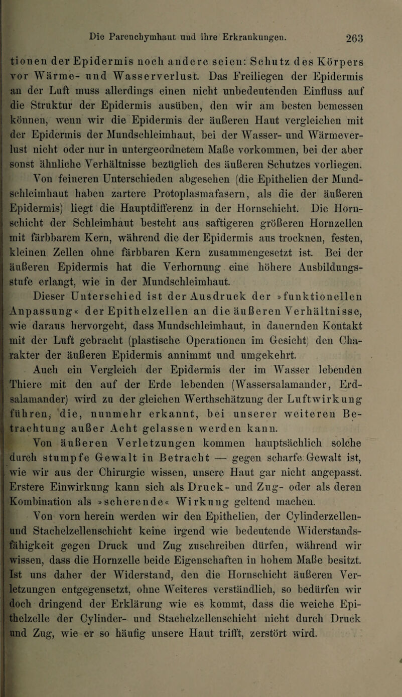 tionen der Epidermis noch andere seien: Schutz des Korpers Yor War me- und Wasserverlnst. Das Freiliegen der Epidermis an der Luft muss allerdings einen niclit unbedeutenden Einfluss auf die Struktur der Epidermis ausiiben, den wir am besten bemessen | konnen, wenn wir die Epidermis der auBeren Haut vergleichen mit der Epidermis der Mundschleimhaut, bei der Wasser- und Warmever- lust nicht oder nur in untergeordnetem MaBe vorkommen, bei der aber sonst lihnliche Verbaltnisse beztiglicb des auBeren Schutzes vorliegen. Von feineren Unterschieden abgesehen (die Epithelien der Mund- sclileiinkaut babeu zartere Protoplasmafasern, als die der auBeren Epidermis) liegt die Hauptdifferenz in der Hornschicbt. Die Horn- : scliicht der Schleimkaut besteht aus saftigeren groBeren Hornzellen mit farbbarem Kern, wahrend die der Epidermis aus trocknen, festen, kleinen Zellen obne farbbaren Kern zusammengesetzt ist. Bei der auBeren Epidermis bat die Verliornung eine bobere Ausbildungs- stufe erlangt, wie in der Mundschleimbaut. Dieser Unterscbied ist der Ausdruck der »funktionellen Anpassung« der Epitbelzellen an die auBeren Verbaltnisse, wie daraus hervorgebt, dass Mundschleimbaut, in dauernden Kontakt mit der Luft gebracbt (plastiscbe Operationen im Gesicbt) den Cha- rakter der auBeren Epidermis annimmt und umgekebrt. Aucb ein Vergleicb der Epidermis der im Wasser lebenden Tbiere mit den auf der Erde lebenden (Wassersalamander, Erd- I salamander) wird zu der gleicben Wertbscbatzung der Luftwirk ung fllbren, die, nunmebr erkannt, bei unserer weiteren Be- j trachtung auBer Acbt gelassen werden kann. Von auBeren Verletzungen kommen hauptsachlich solcbe durcb stumpfe Gewalt in Betracbt — gegen scharfe Gewalt ist, wie wir aus der Chirurgie wissen, unsere Haut gar nicbt angepasst. Erstere Einwirkung kann sicb als Druck- und Zug- oder als deren Kombination als »scberende« Wirkung geltend macben. Von vorn herein werden wir den Epithelien, der Cylinderzellen- und Stachelzellenschicht keine irgend wie bedeutende Widerstands- fabigkeit gegen Druck und Zug zuschreiben diirfen, wahrend wir wissen, dass die Hornzelle beide Eigenscbaften in bobem MaBe besitzt. Ist uns daher der Widerstand, den die Hornschicbt auBeren Ver¬ letzungen entgegensetzt, ohne Weiteres verstandlich, so bediirfen wir docb dringend der Erklarung wie es kommt, dass die weicbe Epi- thelzelle der Cylinder- und Stachelzellenschicht nicbt durch Druck und Zug, wie er so baufig unsere Haut trifft, zerstort wird.