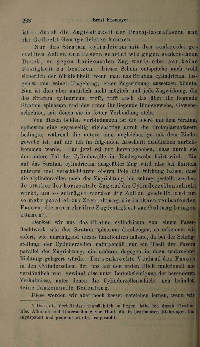 ist — durch die Zugfestigkeit der Protoplasmafasern und ihr Gefleclit Geniige leisten konnen. Nur das Stratum cylindricum mit den senkrecht ge- stellten Zellen und Fasern sclieint wie gegen senkreckten Druck, so gegen korizontalen Zug wenig oder gar keine Festigkeit zu besitzen. Diesel* Scbein entsprache auch wohl sicherlich der Wirklichkeit, wenn man das Stratum cylindricum, los- gelost von seiner Umgebung, einer Zugwirkung aussetzen konnte. Nun ist dies aber naturlich niclit moglicli und jede Zugwirkung, die das Stratum cylindricum trifft, trifft aucli das iiber ibr liegende Stratum spinosum und das unter ihr liegende Bindegewebe, Gewebs- sckichten, mit denen sie in fester Verbindung steht. Yon diesen beiden Verbindungen ist die obere mit dem Stratum spinosum eine gegenseitig gleichartige durch die Protoplasmafasern bedingte, wahrend die untere eine ungleickartige mit dem Binde¬ gewebe ist, auf die ich im folgenden Abscbnitt ausfiihrlich zuriick- kommen werde. Flir jetzt sei nur keiworgekoben, dass durch sie der untere Pol der Cylinderzelle im Bindegewebe fixirt wird. Ein auf das Stratum cylindricum ausgeiibter Zug wird also bei fixirtem unterem und verschiebbarem oberen Pole die Wirkung haben, dass die Cylinderzellen nach der Zugriclitung bin schrag gestellt werden. Je starker der horizontale Zug auf die Cylinderzellenschicht wirkt, um so schrager werden die Zellen gestellt, und um so mehr parallel zur Zugrichtung die in ihnen verlaufenden Fasern, die nunmehr ihre Zugfestigkeit zur Geltung bringen konnen1). Denken wir uns das Stratum cylindricum von einem Faser- flechtwerk wie das Stratum spinosum durchzogen, so erkennen wir sofort, wie ungentigend dieses funktioniren miisste, da bei der Sclirag- stellung der Cylinderzellen naturgemaB nur ein Theil der Fasern parallel der Zugrichtung, ein anderer dagegen in dazu senkreckter Bichtung gelagert wtirde. Der senkreclite Verlauf der Fasern in den Cylinderzellen, der uns auf den ersten Blick funktionell un- verstandlich war, gewinnt also unter Beriicksiclitigung der besonderen Verhaltnisse, unter denen die Cylinderzellenschicht sich befindet, seine funktionelle Bedeutung. Diese werden wir aber noch besser yerstehen lernen, wenn wir Dnss die Verhaltnisse thatsiichlich so liegen, habe ich durch Fixation j (abs. Alkohol) und Untersuchung von Haut, die in bestimmten Richtungen hin angespannt und gedehnt wurde, festgestellt.