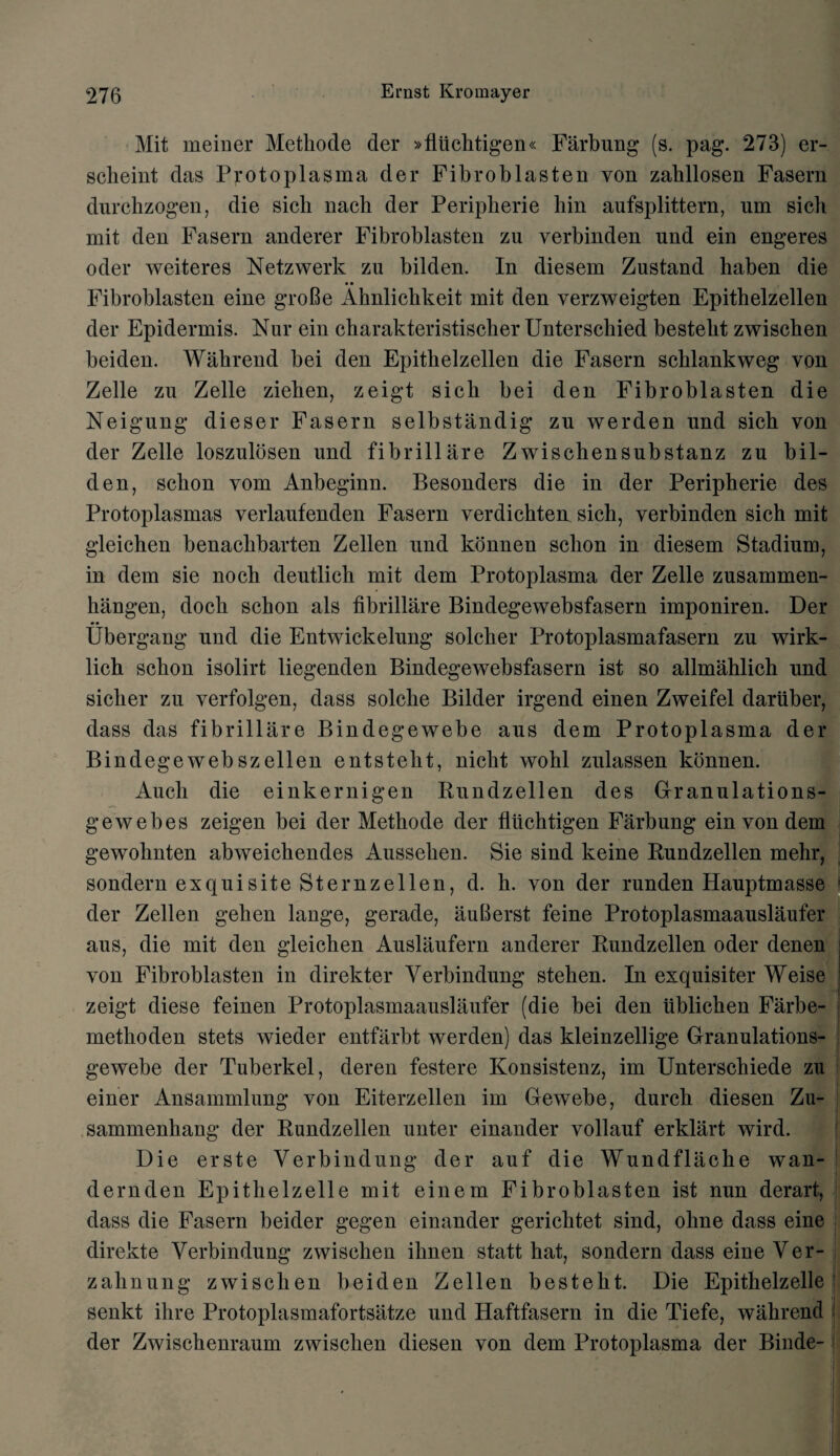 Mit meiner Methode der »fliichtigen« Farbung (s. pag. 273) er- scheint das Proto plasma der Fibroblasten yon zahllosen Fasern durchzogen, die sicli liach der Peripherie bin aufsplittern, um si eh mit den Fasern anderer Fibroblasten zu verbinden nnd ein engeres oder weiteres Netzwerk zu bilden. In diesem Zustand haben die • • Fibroblasten eine groBe Ahnlicbkeit mit den yerzweigten Epithelzellen der Epidermis. Nur ein cbarakteristiscber Unterschied bestebt zwiscben beiden. Wahrend bei den Epithelzellen die Fasern scklankweg von Zelle zu Zelle ziehen, zeigt sich bei den Fibroblasten die Neigung dieser Fasern selbstandig zu werden und sich von der Zelle loszulosen und fibrillare Zwischensubstanz zu bil¬ den, schon vom Anbeginn. Besonders die in der Peripherie des Protoplasmas verlaufenden Fasern verdichten sich, verbinden sich mit gleichen benaclibarten Zellen und konnen schon in diesem Stadium, in dem sie noch deutlich mit dem Protoplasma der Zelle zusammen- hangen, doch schon als fibrillare Bindegewebsfasern imponiren. Der Ubergang und die Entwickelung solcher Protoplasmafasern zu wirk- lich schon isolirt liegenden Bindegewebsfasern ist so allmahlich und sicher zu verfolgen, dass solclie Bilder irgend einen Zweifel darUber, dass das fibrillare Bindegewebe aus dem Protoplasma der Bindegewebszellen entsteht, nicht wohl zulassen konnen. Audi die einkernigen Rundzellen des Granulations- gewebes zeigen bei der Methode der fliichtigen Farbung ein von dem gewohnten abweichendes Aussehen. Sie sind keine Rundzellen mehr, sondern exquisite Sternzellen, d. h. von der runden Hauptmasse der Zellen gehen lange, gerade, auBerst feine Protoplasmaauslaufer aus, die mit den gleichen Auslilufern anderer Rundzellen oder denen von Fibroblasten in direkter Yerbindung stehen. In exquisiter Weise zeigt diese feinen Protoplasmaauslaufer (die bei den iiblichen Farbe- methoden stets wieder entfarbt werden) das kleinzellige Granulations- gewebe der Tuberkel, deren festere Konsistenz, im Unterschiede zu einer Ansammlung von Eiterzellen im Gewebe, durch diesen Zu- sammenhang der Rundzellen unter einander vollauf erklart wird. Die erste Verbindung der auf die Wundflache wan- dernden Epithelzelle mit einem Fibroblasten ist nun derail, dass die Fasern beider gegen einander gericlitet sind, olme dass eine direkte Verbindung zwiscben ihnen statt hat, sondern dass eine Ver- zahnung zwiscben beiden Zellen besteht. Die Epithelzelle senkt ihre Protoplasmafortsatze und Haftfasern in die Tiefe, wahrend der Zwischenraum zwiscben diesen von dem Protoplasma der Binde-
