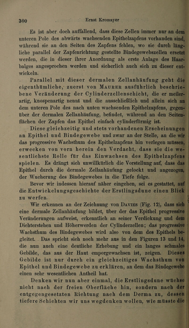 Es ist aber docli auffallend, dass diese Zellen immer nur an dem unteren Pole des abwarts wacbsenden Epithelzapfens vorhanden sind, wahrend sie an den Seiten des Zapfens fehlen, wo sie durcb lang- liche parallel der Zapfenrichtung gestellte Bindegewebszellen ersetzt werden, die in dieser ihrer Anordnung als erste Anlage des Haar- balges angesprochen werden und sicherlicb aucb sicli zu dieser ent- wickeln. Parallel mit dieser dermalen Zellanhaufung geht die eigenthtimliche, zuerst von Maurer ausfiihrlich beschrie- bene Yeranderung der Cylinderzellenschicht, die er meiler- artig, knospenartig nennt und die ausschlieBlieb und allein sicb an dem unteren Pole des nach unten wachsenden Epithelzapfens, gegen- liber der dermalen Zellanhaufung, befindet, wahrend an den Seiten- flachen der Zapfen das Epithel einfach cylinderformig ist. Diese gleichzeitig und stets vorhandenen Erscheinungen an Epithel und Bindegewebe und zwar an der Stelle, an die wir das progressive Wachsthum des Epithelzapfens hin verlegen miissen, erwecken von vorn herein den Yerdacht, dass sie die we- sentlichste Rolle fiir das Einwachsen des Epithelzapfens spielen. Es drangt sich unwillkiirlich die Vorstellung auf, dass das Epithel durch die dermale Zellanhaufung gelockt und angezogen, der Wucherung des Bindegewebes in die Tiefe folge. Bevor wir indessen hierauf naher eingehen, sei es gestattet, auf die Entwickelungsgeschichte der Erstlingsdune einen Blick zu werfen. Wir erkennen an der Zeichnung von Davies (Fig. 12), dass sich eine dermale Zellanhaufung bildet, uber der das Epithel progressive Yeranderungen aufweist, erkenntlich an seiner Yerdickung und dem Dichterstehen und Hoherwerden der Cylinderzellen; das progressive Wachsthum des Bindegewebes wird also von dem des Epithels be- gleitet. Das spricht sich noch mehr aus in den Figuren 13 und 14, die nun auch eine deutliche Erhebung und ein langes schmales Gebilde, das aus der Haut emporgewachsen ist, zeigen. Dieses Gebilde ist nur durch ein gleichzeitiges Wachsthum von Epithel und Bindegewebe zu erklaren, an dem das Bindegewebe einen sehr wesentlichen Antheil hat. Denken wir nun aber einmal, die Erstlingsdune wiichse nicht nach der freien Oberflache hin, sondern nach der entgegengesetzten Richtung nach dem Derma zu, dessen tiefere Schichten wir uns wegdenken wollen, wie miisste die .