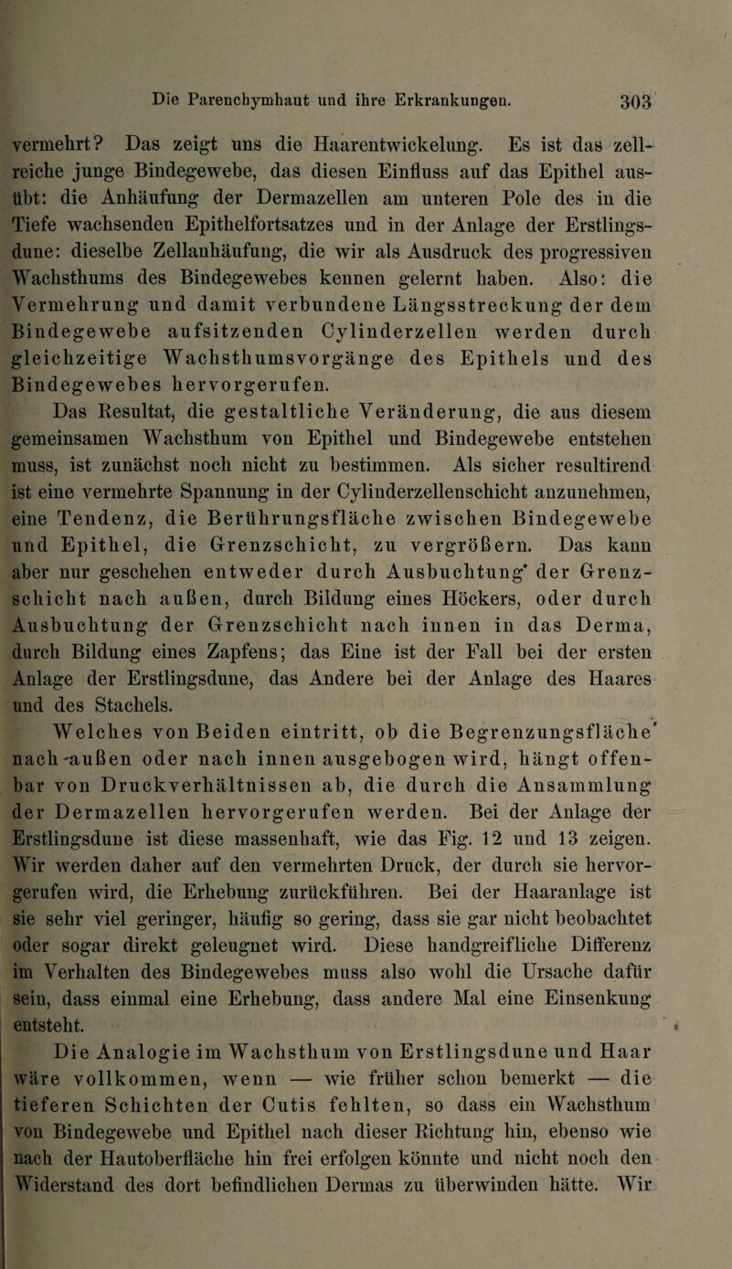 vermehrt? Das zeigt uns die Haarentwickelung. Es ist das zell- reiclie junge Bindegewebe, das diesen Einfluss auf das Epithel aus- iibt: die Anhaufung der Dermazellen am unteren Pole des in die Tiefe wacbsenden Epithelfortsatzes und in der Anlage der Erstlings- dune: dieselbe Zellanhaufung, die wir als Ausdruck des progressiven Wacksthums des Bindegewebes kennen gelernt liaben. Also: die Yermehrung und damit yerbundene Langsstreckung der dem Bindegewebe aufsitzenden Cylinderzellen werden durcb gleichzeitige Wackstkumsvorgange des Epitbels und des Bindegewebes kervorgerufen. Das Resultat, die gestaltlicke Veranderung, die aus diesem gemeinsamen Wackstkum von Epitkel und Bindegewebe entsteken muss, ist zunackst nock nickt zu bestimmen. Als sicker resultirend ist eine vermekrte Spannung in der Cylinderzellenschickt anzunekmen, eine Tendenz, die Bertihrungsflacke zwiscken Bindegewebe und Epitkel, die Grenzsckickt, zu vergroBern. Das kann aber nur gesckeken entweder durck Ausbuclitung* der Grenz¬ sckickt nack auBen, durck Bildung eines Hockers, oder durck Ausbucktung der Grenzsckickt nack innen in das Derma, durck Bildung eines Zapfens; das Eine ist der Fall bei der ersten Anlage der Erstlingsdune, das Andere bei der Anlage des Haares und des Stackels. Welches yon Beiden eintritt, ob die Begrenzungsflache’ nach'auBen oder nack innen ausgebogen wird, kangt offen- bar von Druckverkaltnissen ab, die durck die Ansammlung der Dermazellen kervorgerufen werden. Bei der Anlage dm* Erstlingsdune ist diese massenkaft, wie das Fig. 12 und 13 zeigen. Wir werden daher auf den vermekrten Druck, der durck sie kervor¬ gerufen wird, die Erkebung zuruckfuhren. Bei der Haaranlage ist sie sehr viel geringer, kaufig so gering, dass sie gar nickt beobacktet oder sogar direkt geleugnet wird. Diese kandgreiflicke Differenz im Verkalten des Bindegewebes muss also wolil die Ursache dafiir sein, dass einmal eine Erkebung, dass andere Mai eine Einsenkung entsteht. Die Analogie im Wackstkum von Erstlingsdune und Haar ware vollkommen, wenn — wie frtiher sclion bemerkt — die tieferen Sckickten der Cutis feklten, so dass ein Wackstkum von Bindegewebe und Epitkel nack dieser Richtung kin, ebenso wie nack der Hautoberflacke kin frei erfolgen konnte und nickt nock den Widerstand des dort befindlicken Dermas zu uberwinden kiitte. Wir