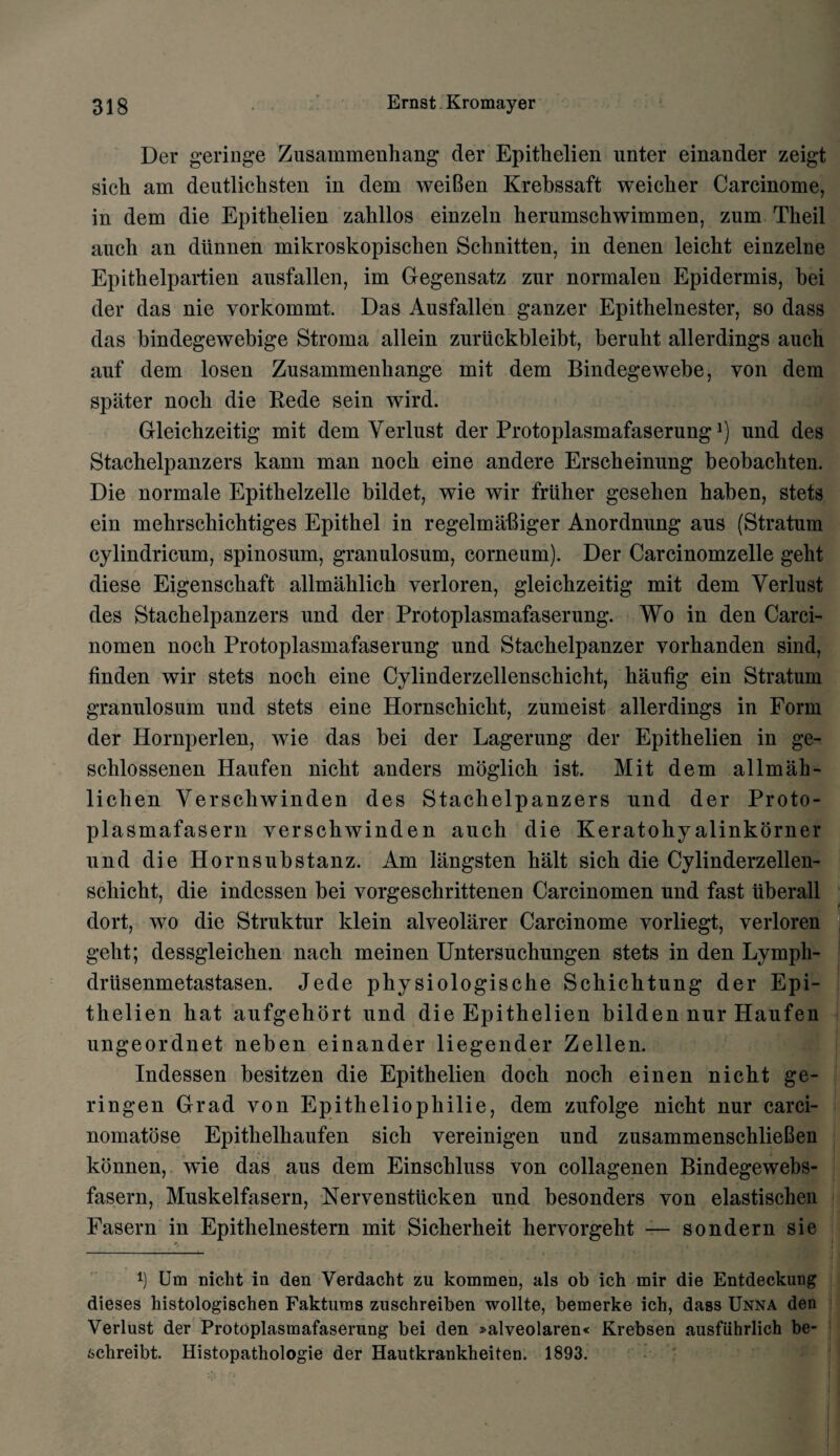 Der geringe Zusammenhang der Epithelien unter einander zeigt sich am deutlichsten in dem weiBen Krebssaft weicher Carcinome, in dem die Epithelien zahllos einzeln herumschwimmen, zum Theil auch an diinnen mikroskopischen Sclinitten, in denen leicht einzelne Epithelpartien ausfallen, im Gegensatz znr normalen Epidermis, bei der das nie vorkommt. Das Ausfallen ganzer Epithelnester, so dass das bindegewebige Stroma allein zuriickbleibt, beruht allerdings auch auf dem losen Zusammenhange mit dem Bindegewebe, yon dem spiiter noch die Rede sein wird. Gleichzeitig mit dem Verlust der Protoplasmafaserungl) und des Stachelpanzers kann man noch eine andere Erscheinung beobachten. Die normale Epithelzelle bildet, wie wir friiher gesehen haben, stets ein mehrschichtiges Epithel in regelmaBiger Anordnung aus (Stratum cylindricum, spinosum, granulosum, corneum). Der Carcinomzelle geht diese Eigenschaft allmahlich yerloren, gleichzeitig mit dem Verlust des Stachelpanzers und der Protoplasmafaserung. Wo in den Carci- nomen noch Protoplasmafaserung und Stachelpanzer vorhanden sind, finden wir stets noch eine Cylinderzellenschieht, haufig ein Stratum granulosum und stets eine Hornschicht, zumeist allerdings in Form der Hornperlen, wie das bei der Lagerung der Epithelien in ge- schlossenen Haufen nicht anders moglich ist. Mit dem allmah- lichen Verschwinden des Stachelpanzers und der Proto- plasmafasern verschwinden auch die Keratohyalinkorner und die Hornsubstanz. Am langsten halt sich die Cylinderzellen- schicht, die indessen bei vorgesclirittenen Carcinomen und fast iiberall dort, wo die Struktur klein alveolarer Carcinome yorliegt, yerloren geht; dessgleichen nach meinen Untersuchungen stets in den Lympli- driisenmetastasen. Jede physiologische Schichtung der Epi¬ thelien hat aufgehort und die Epithelien bilden nur Haufen ungeordnet neben einander liegender Zellen. Indessen besitzen die Epithelien doch noch einen nicht ge- ringen Grad yon Epitheliophilie, dem zufolge nicht nur carci- nomatose Epithelhaufen sich vereinigen und zusammenschlieBen konnen, wie das aus dem Einschluss von collagenen Bindegewebs- fasern, Muskelfasern, Nervenstiicken und besonders von elastischen Fasern in Epithelnestern mit Sicherheit hervorgebt — sondern sie Um nicht in den Verdacht zu kommen, als ob ich mir die Entdeckung dieses histologischen Faktums zuschreiben wollte, bemerke ich, dass Unna den Verlust der Protoplasmafaserung bei den »alveolaren« Krebsen ausfiihrlich be- tchreibt. Histopathologie der Hautkrankheiten. 1893.