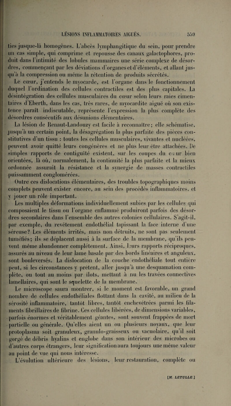 ties jusque-là homogènes. L’abcès lymphangitique du sein, pour prendre un cas simple, qui comprime et repousse des canaux galactophores, pro¬ duit dans l’intimité des lobules mammaires une série complexe de désor¬ dres, commençant par les déviations d’organes et d’éléments, et allant jus¬ qu’à la compression ou même la rétention de produits sécrétés. Le cœur, j’entends le myocarde, est l’organe dans le fonctionnement duquel l’ordination des cellules contractiles est des plus capitales. La désintégration des cellules musculaires du cœur selon leurs raies cimen- taires d’Eberth, dans les cas, très rares, de myocardite aiguë où son exis¬ tence paraît indiscutable, représente l’expression la plus complète des désordres consécutifs aux désunions élémentaires. La lésion de Renaut-Landouzy est facile à reconnaître; elle schématise, jusqu’à un certain point, la désagrégation la plus parfaite des pièces con¬ stitutives d’un tissu : toutes les cellules musculaires, vivantes et nucléées, peuvent avoir quitté leurs congénères et ne plus leur être attachées. De simples rapports de contiguïté existent, sur les coupes du eu ur bien orientées, là où, normalement, la continuité la plus parfaite et la mieux ordonnée assurait la résistance et la synergie de masses contractiles puissamment conglomérées. Outre ces dislocations élémentaires, des troubles topographiques moins complets peuvent exister encore, au sein des procédés inflammatoires, et y jouer un rôle important. Les multiples déformations individuellement subies par les cellules qui composaient le tissu ou l’organe enflammé produiront parfois des désor¬ dres secondaires dans l’ensemble des autres colonies cellulaires. S’agit-il, par exemple, du revêtement endothélial tapissant la face interne d'une séreuse? Les éléments irrités, mais non détruits, ne sont pas seulement tuméfiés; ils se déplacent aussi à la surface de la membrane, qu’ils peu¬ vent même abandonner complètement. Ainsi, leurs rapports réciproques, assurés au niveau de leur lame basale par des bords linéaires et anguleux, sont bouleversés. La dislocation de la couche endothéliale tout entière peut, si les circonstances y prêtent, aller jusqu’à une desquamation com¬ plète, ou tout au moins par îlots, mettant à nu les travées connectives lamellaires, qui sont le squelette de la membrane. Le microscope saura montrer, si le moment est favorable, un grand nombre de cellules endothéliales flottant dans la cavité, au milieu de la sérosité inflammatoire, tantôt libres, tantôt enchevêtrées parmi les fila¬ ments fîbrillaires de fibrine. Ces cellules libérées, de dimensions variables, parfois énormes et véritablement géantes, sont souvent frappées de mort partielle ou générale. Qu’elles aient un ou plusieurs noyaux, que leur protoplasma soit granuleux, granulo-graisseux ou vacuolaire, qu’il soit gorgé de débris hyalins et englobe dans son intérieur des microbes ou d’autres corps étrangers, leur signification aura toujours une même valeur au point de vue qui nous intéresse. L’évolution ultérieure des lésions, leur restauration, complète ou