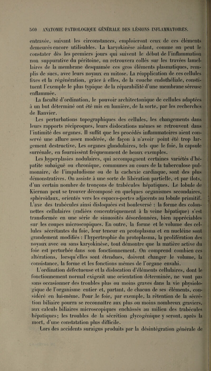 entravée, suivant les circonstances, emploieront, ceux de ces éléments demeurés encore utilisables. La karyokinèse aidant, comme on peut le constater dès les premiers jours qui suivent le début de l’inflammation non suppurative du péritoine, on retrouvera collés sur les travées lamel¬ laires de la membrane desquamée ces gros éléments plasmatiques, rem¬ plis de sucs, avec leurs noyaux en mitose. La réapplication de ces cellules fixes et la régénération, grâce à elles, de la couche endothéliale, consti¬ tuent, l’exemple le plus typique delà réparabilité d’une membrane séreuse enflammée. La faculté d’ordination, le pouvoir architectonique de cellules adaptées à un but déterminé ont été mis en lumière, de la sorte, par les recherches de Ranvier. Les perturbations topographiques des cellules, les changements dans leurs rapports réciproques, leurs dislocations mômes se retrouvent dans l’intimité des organes. 11 suffit que les procédés inflammatoires aient con¬ servé une allure assez modérée, de façon à n’avoir point été trop lar¬ gement destructive. Les organes glandulaires, tels que le foie, la capsule surrénale, en fournissent fréquemment de beaux exemples. Les hyperplasies nodulaires, qui accompagnent certaines variétés d’hé¬ patite subaiguë ou chronique, communes au cours de la tuberculose pul¬ monaire, de l’impaludisme ou de la cachexie cardiaque, sont des plus démonstratives. On assiste à une sorte de libération partielle, et par îlots, d’un certain nombre de tronçons de trabécules hépatiques. Le lobule de Kiernan peut se trouver décomposé en quelques organismes secondaires, sphéroïdaux, orientés vers les espaces-portes adjacents au lobule primitif. L’axe des trabécules ainsi disloquées est bouleversé : la forme des colon- nettes cellulaires (radiées concentriquement à la veine hépatique) s’est transformée en une série de sinuosités désordonnées, bien appréciables sur les coupes microscopiques. En outre, la forme et le volume des cel¬ lules sécrétantes du foie, leur teneur en protoplasma et en nucléine sont grandement modifiés : l’hypertrophie du protoplasma, la prolifération des noyaux avec ou sans karyokinèse, tout démontre que la matière active du foie est perturbée dans son fonctionnement. On comprend combien ces altérations, lorsqu’elles sont étendues, doivent changer le volume, la consistance, la forme et les fonctions mêmes de l’organe envahi. L’ordination défectueuse et la dislocation d’éléments cellulaires, dont le fonctionnement normal exigeait une orientation déterminée, ne vont pas sans occasionner des troubles plus ou moins graves dans la vie physiolo¬ gique de l’organisme entier et, partant, de chacun de ses éléments, con¬ sidéré en lui-même. Pour le foie, par exemple, la rétention de la sécré¬ tion biliaire pourra se reconnaître aux plus ou moins nombreux graviers, aux calculs biliaires microscopiques enchâssés au milieu des trabécules hépatiques; les troubles de la sécrétion glycogénique y seront, après la mort, d’une constatation plus difficile. Lors des accidents suraigus produits par la désintégration générale de