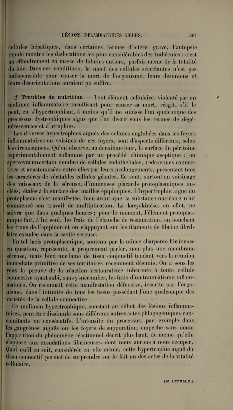 cellules hépatiques, dans certaines formes d’ictère grave, l’autopsie rapide montre les dislocations les plus considérables des trabécules: c’est un effondrement en masse de lobules entiers, parfois même de la totalité du foie. Dans ces conditions, la mort des cellules sécrétantes n’est pas indispensable pour causer la mort de l’organisme; leurs désunions et leurs désorientations auraient pu suffire. *2° Troubles de nutrition. —Tout élément cellulaire, violenté par un molimen inflammatoire insuffisant pour causer sa mort, réagit, s’il le peut, en s’hypertrophiant, à moins qu’il ne subisse l’un quelconque des processus dystrophiques aigus que l’on décrit sous les termes de dégé¬ nérescences et d’atrophies. Les diverses hypertrophies aiguës des cellules englobées dans les foyers inflammatoires ou voisines de ces foyers, sont d’aspects différents, selon les circonstances. Qu’on observe, au deuxième jour, la surface du péritoine expérimentalement enflammé par un procédé chimique aseptique : on apercevra un certain nombre de cellules endothéliales, redevenues connec¬ tives et anastomosées entre elles par leurs prolongements, présentant tous les caractères de véritables cellules géantes. Ce sont, surtout au voisinage des vaisseaux de la séreuse, d’immenses placards protoplasmiques nu- cléés, étalés à la surface des mailles épiploïques. L’hypertrophie aiguë du protoplasma s’est manifestée, bien avant que la substance nucléaire n’ait commencé son travail de multiplication. La karyokinèse, en effet, ne suivra que dans quelques heures; pour le moment, l’élément protoplas¬ mique fait, à lui seul, les frais de l’ébauche de restauration, en bouchant les trous de l’épiploon et en s’appuyant sur les filaments de fibrine fibril- laire exsudée dans la cavité séreuse. Un tel lacis protoplasmique, soutenu par la mince charpente fibrineuse en question, représente, à proprement parler, non plus une membrane séreuse, mais bien une lame de tissu conjonctif tendant vers la réunion immédiate primitive de ses territoires récemment désunis. On a sous les yeux la preuve de la réaction restauratrice inhérente à toute cellule connective ayant subi, sans y succomber, les frais d’un traumatisme inflam¬ matoire. On reconnaît cette manifestation défensive, inscrite par l’orga¬ nisme, dans l’intimité de tous les tissus possédant l’une quelconque des variétés de la cellule connective. Ce molimen hypertrophique, constant au début des lésions inflamma¬ toires, peut être dissimulé sous différents autres actes phlogogéniques con¬ comitants ou consécutifs. L’intensité du processus, par exemple dans les gangrènes aiguës ou les foyers de suppuration, empêche sans doute l’apparition du phénomène réactionnel décrit plus haut, de même qu’elle s’oppose aux exsudations fibrineuses, dont nous aurons à nous occuper. Quoi qu’il en soit, considérée en elle-même, cette hypertrophie aiguë du tissu connectif permet de surprendre sur le fait un des actes de la vitalité cellulaire.