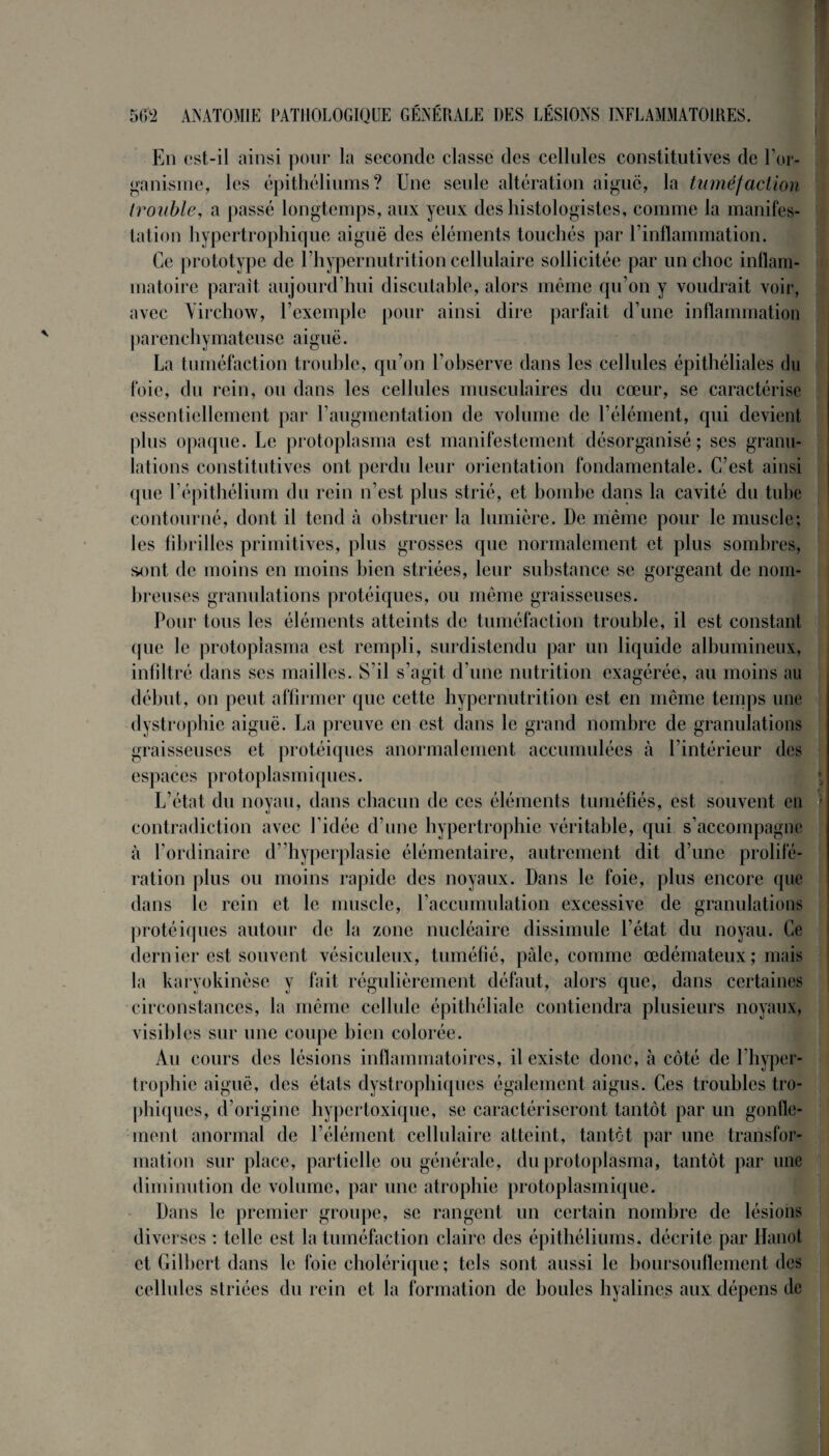 En est-il ainsi pour la seconde classe des cellules constitutives de l’or¬ ganisme, les épithéliums? Une seule altération aiguë, la tuméfaction trouble, a passé longtemps, aux yeux des histologistes, comme la manifes¬ tation hypertrophique aiguë des éléments touchés par l’inflammation. Ce prototype de l’hypernutrition cellulaire sollicitée par un choc inflam¬ matoire parait aujourd’hui discutable, alors même qu’on y voudrait voir, avec Virchow, l’exemple pour ainsi dire parfait d’une inflammation parenchymateuse aiguë. La tuméfaction trouble, qu’on l’observe dans les cellules épithéliales du foie, du rein, ou dans les cellules musculaires du cœur, se caractérise essentiellement par l’augmentation de volume de l’élément, qui devient plus opaque. Le protoplasma est manifestement désorganisé; ses granu¬ lations constitutives ont perdu leur orientation fondamentale. C’est ainsi que l’épithélium du rein n’est plus strié, et bombe dans la cavité du tube contourné, dont il tend à obstruer la lumière. De même pour le muscle; les fibrilles primitives, plus grosses que normalement et plus sombres, sont de moins en moins bien striées, leur substance se gorgeant de nom¬ breuses granulations protéiques, ou même graisseuses. Pour tous les éléments atteints de tuméfaction trouble, il est constant que le protopïasma est rempli, surdistendu par un liquide albumineux, infiltré dans ses mailles. S’il s’agit d’une nutrition exagérée, au moins au début, on peut affirmer que cette hyperinflation est en même temps une dystrophie aiguë. La preuve en est dans le grand nombre de granulations graisseuses et protéiques anormalement accumulées à l’intérieur des espaces protoplasmiques. L’état du noyau, dans chacun de ces éléments tuméfiés, est souvent en contradiction avec l’idée d’une hypertrophie véritable, qui s’accompagne à l’ordinaire d’ hyperplasie élémentaire, autrement dit d’une prolifé¬ ration plus ou moins rapide des noyaux. Dans le foie, plus encore que dans le rein et le muscle, l’accumulation excessive de granulations protéiques autour de la zone nucléaire dissimule l’état du noyau. Ce dernier est souvent vésiculeux, tuméfié, pale, comme œdémateux; mais la karyokinèse y fait régulièrement défaut, alors que, dans certaines circonstances, la même cellule épithéliale contiendra plusieurs noyaux, visibles sur une coupe bien colorée. Au cours des lésions inflammatoires, il existe donc, à côté de l’hyper¬ trophie aiguë, des états dystrophiques également aigus. Ces troubles tro¬ phiques, d’origine hypertoxique, se caractériseront tantôt par un gonfle¬ ment anormal de l’élément cellulaire atteint, tantôt par une transfor¬ mation sur place, partielle ou générale, du protoplasma, tantôt par une diminution de volume, par une atrophie protoplasmique. Dans le premier groupe, se rangent un certain nombre de lésions diverses : telle est la tuméfaction claire des épithéliums, décrite par Hanot et Gilbert dans le foie cholérique; tels sont aussi le boursouflement des cellules striées du rein et la formation de boules hyalines aux dépens de S