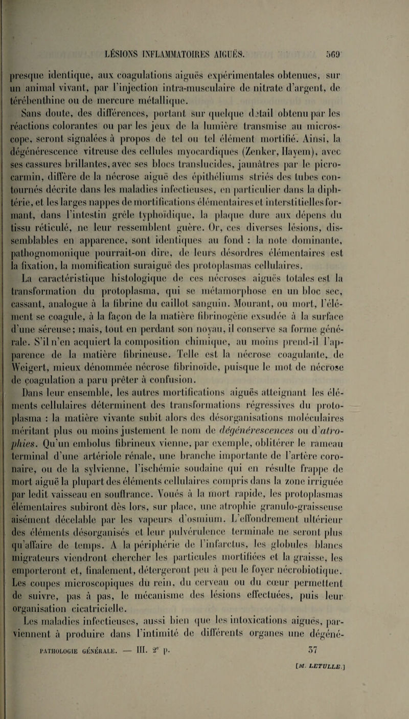 presque identique, aux coagulations aiguës expérimentales obtenues, sur un animal vivant, par l’injection intra-rnusculaire de nitrate d’argent, de térébenthine ou de mercure métallique. Sans doute, des différences, portant sur quelque datait obtenu par les réactions colorantes ou par les jeux de la lumière transmise au micros¬ cope, seront signalées à propos de tel ou tel élément mortifié. Ainsi, la dégénérescence vitreuse des cellules myocardiques (Zenker, Ilayern), avec ses cassures brillantes, avec ses blocs translucides, jaunâtres par le picro- carrnin, diffère de la nécrose aiguë des épithéliums striés des tubes con¬ tournés décrite dans les maladies infectieuses, en particulier dans la diph¬ térie, et les larges nappes de mortifications élémentaires et interstitielles for¬ mant, dans l’intestin grêle typhoïdique, la plaque dure aux dépens du tissu réticulé, ne leur ressemblent guère. Or, ces diverses lésions, dis¬ semblables en apparence, sont identiques au fond : la note dominante, pathognomonique pourrait-on dire, de leurs désordres élémentaires est la fixation, la momification suraiguë des protoplasmas cellulaires. La caractéristique histologique de ces nécroses aiguës totales est la transformation du protoplasma, qui se métamorphose en un bloc sec, cassant, analogue à la fibrine du caillot sanguin. Mourant, ou mort, l'élé¬ ment se coagule, à la façon de la matière fibrinogène exsudée à la surface d’une séreuse; mais, tout en perdant son noyau, il conserve sa forme géné¬ rale. S’il n’en acquiert la composition chimique, au moins prend-il l’ap¬ parence de la matière fibrineuse. Telle est la nécrose coagulante, de Weigert, mieux dénommée nécrose fibrinoide, puisque le mot de nécrose de coagulation a paru prêter à confusion. Dans leur ensemble, les autres mortifications aiguës atteignant les élé¬ ments cellulaires déterminent des transformations régressives du proto¬ plasma : la matière vivante subit alors des désorganisations moléculaires méritant plus ou moins justement le nom de dégénérescences ou <Yatro- phies. Qu’un embolus fibrineux vienne, par exemple, oblitérer le rameau terminal d’une artériole rénale, une branche importante de l’artère coro¬ naire, ou de la sylvienne, l’ischémie soudaine qui en résulte frappe de mort aiguë la plupart des éléments cellulaires compris dans la zone irriguée par ledit vaisseau en souffrance. Voués à la mort rapide, les protoplasmas élémentaires subiront dès lors, sur place, une atrophie granulo-graisseuse aisément décelable par les vapeurs d’osmium. L’effondrement ultérieur des éléments désorganisés et leur pulvérulence terminale ne seront plus qu’affaire de temps. À la périphérie de l’infarctus, les globules blancs migrateurs viendront chercher les particules mortifiées et la graisse, les emporteront et, finalement, détergeront peu à peu le foyer nécrobiotique. Les coupes microscopiques du rein, du cerveau ou du cœur permettent de suivre, pas à pas, le mécanisme des lésions effectuées, puis leur organisation cicatricielle. Les maladies infectieuses, aussi bien que les intoxications aiguës, par¬ viennent à produire dans l’intimité de différents organes une dégéné- PATHOLOGIE GENERALE. — III. 2° |>- 57