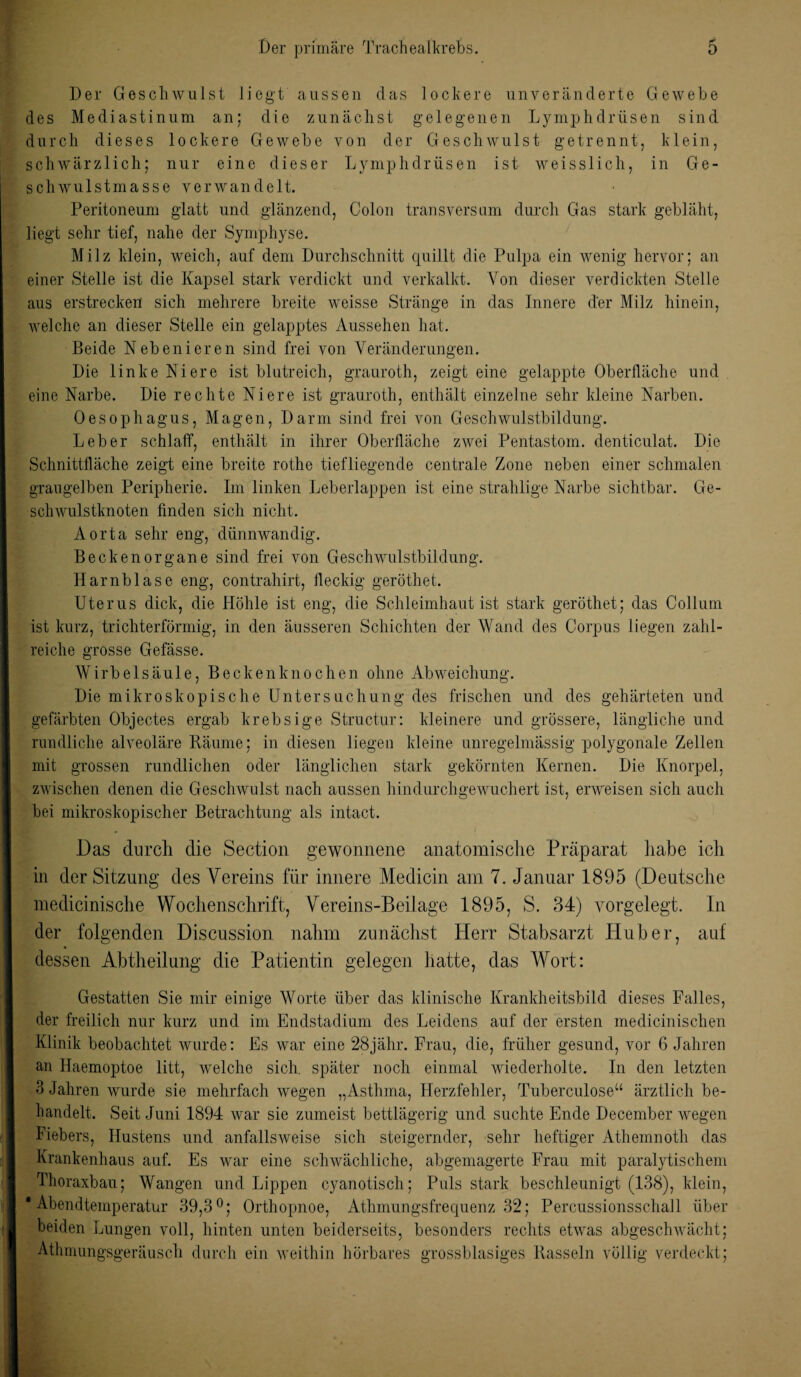 Der Geschwulst liegt aussen das lockere unveränderte Gewebe des Mediastinum an; die zunächst gelegenen Lymphdrüsen sind durch dieses lockere Gewebe von der Geschwulst getrennt, klein, schwärzlich; nur eine dieser Lymphdrüsen ist weisslich, in Ge¬ schwulstmasse verwandelt. Peritoneum glatt und glänzend, Colon transversum durch Gas stark gebläht, liegt sehr tief, nahe der Symphyse. Milz klein, weich, auf dem Durchschnitt quillt die Pulpa ein wenig hervor; an einer Stelle ist die Kapsel stark verdickt und verkalkt. Von dieser verdickten Stelle aus erstrecken sich mehrere breite weisse Stränge in das Innere der Milz hinein, welche an dieser Stelle ein gelapptes Aussehen hat. Beide Nebenieren sind frei von Veränderungen. Die linke Niere ist blutreich, grauroth, zeigt eine gelappte Oberfläche und eine Narbe. Die rechte Niere ist grauroth, enthält einzelne sehr kleine Narben. Oesophagus, Magen, Darm sind frei von Geschwulstbildung. Leber schlaff, enthält in ihrer Oberfläche zwei Pentastom. denticulat. Die Schnittfläche zeigt eine breite rothe tiefliegende centrale Zone neben einer schmalen graugelben Peripherie. Im linken Leberlappen ist eine strahlige Narbe sichtbar. Ge¬ schwulstknoten finden sich nicht. Aorta sehr eng, dünnwandig. Beckenorgane sind frei von Geschwulstbildung. Harnblase eng, contrahirt, fleckig geröthet. Uterus dick, die Höhle ist eng, die Schleimhaut ist stark geröthet; das Collum ist kurz, trichterförmig, in den äusseren Schichten der Wand des Corpus liegen zahl¬ reiche grosse Gefässe. Wirbelsäule, B ecken kn o chen ohne Abweichung. Die mikroskopische Untersuchung des frischen und des gehärteten und gefärbten Objectes ergab krebsige Structur: kleinere und grössere, längliche und rundliche alveoläre Räume; in diesen liegen kleine unregelmässig polygonale Zellen mit grossen rundlichen oder länglichen stark gekörnten Kernen. Die Knorpel, zwischen denen die Geschwulst nach aussen hindurch gewuchert ist, erweisen sich auch bei mikroskopischer Betrachtung als intact. Das durch die Section gewonnene anatomische Präparat habe ich in der Sitzung des Vereins für innere Medicin am 7. Januar 1895 (Deutsche medicinische Wochenschrift, Vereins-Beilage 1895, S. 34) vorgelegt. In der folgenden Discussion nahm zunächst Plerr Stabsarzt Huber, auf dessen Abtheilung die Patientin gelegen hatte, das Wort: Gestatten Sie mir einige Worte über das klinische Krankheitsbild dieses Falles, der freilich nur kurz und im Endstadium des Leidens auf der ersten medicinischen Klinik beobachtet wurde: Es war eine 28jähr. Frau, die, früher gesund, vor 6 Jahren an Haemoptoe litt, welche sich, später noch einmal wiederholte. In den letzten 3 Jahren wurde sie mehrfach wegen „Asthma, Herzfehler, Tuberculose“ ärztlich be¬ handelt. Seit Juni 1894 war sie zumeist bettlägerig und suchte Ende December wregen Fiebers, Hustens und anfallsweise sich steigernder, sehr heftiger Athemnoth das Krankenhaus auf. Es war eine schwächliche, abgemagerte Frau mit paralytischem Thoraxbau; Wangen und Lippen cyanotisch; Puls stark beschleunigt (138), klein, Abendtemperatur 39,3°; Orthopnoe, Athmungsfrequenz 32; Percussionsschall über beiden Lungen voll, hinten unten beiderseits, besonders rechts etwas abgeschwächt; Athmungsgeräusch durch ein weithin hörbares grossblasiges Rasseln völlig verdeckt;