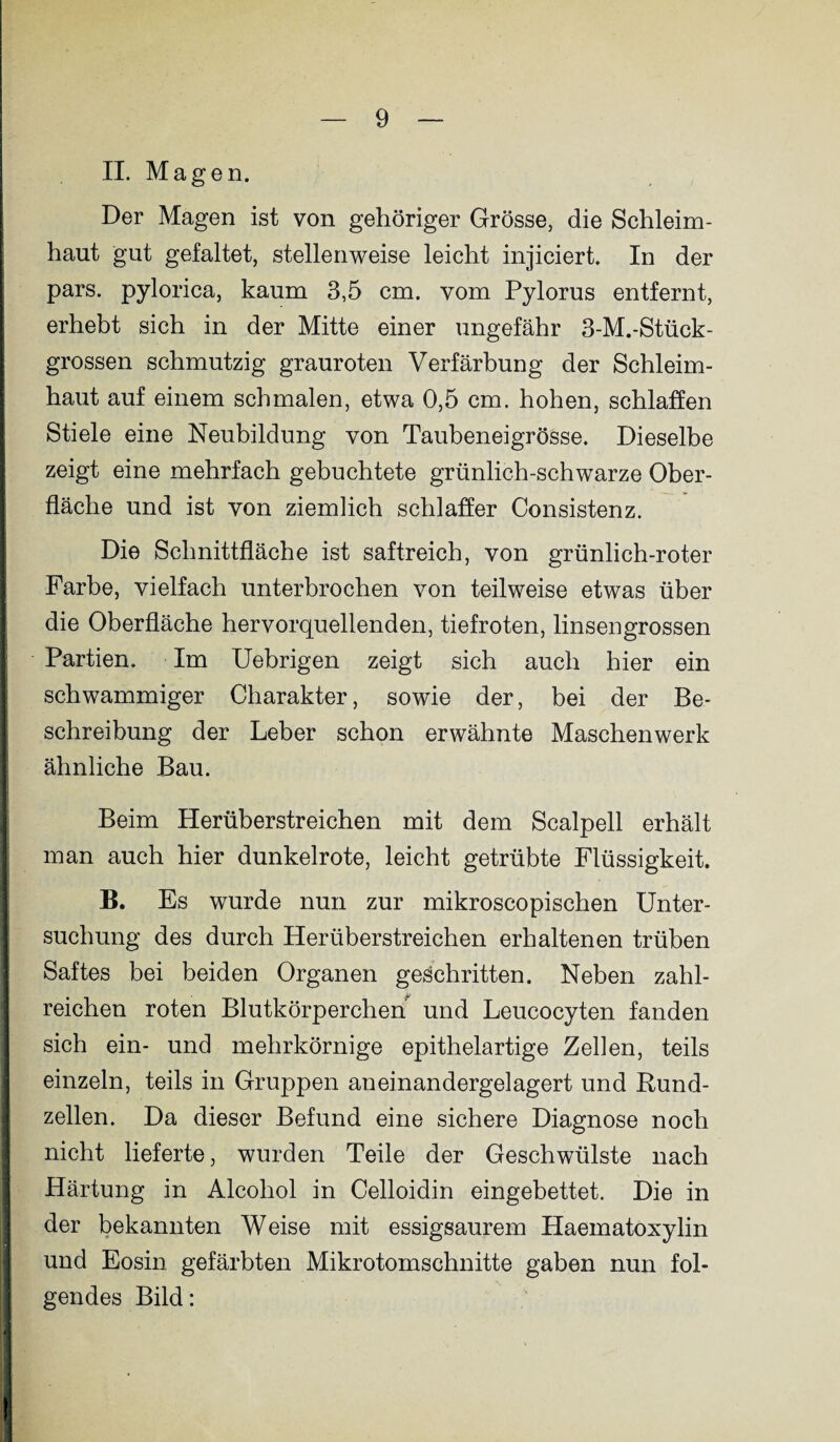 II. Magen. Der Magen ist von gehöriger Grösse, die Schleim¬ haut gut gefaltet, stellenweise leicht injiciert. In der pars, pylorica, kaum 3,5 cm. vom Pylorus entfernt, erhebt sich in der Mitte einer ungefähr 3-M.-Stück- grossen schmutzig grauroten Verfärbung der Schleim¬ haut auf einem schmalen, etwa 0,5 cm. hohen, schlaffen Stiele eine Neubildung von Taubeneigrösse. Dieselbe zeigt eine mehrfach gebuchtete grünlich-schwarze Ober¬ fläche und ist von ziemlich schlaffer Consistenz. Die Schnittfläche ist saftreich, von grünlich-roter Farbe, vielfach unterbrochen von teilweise etwas über die Oberfläche hervorquellenden, tiefroten, linsengrossen Partien. Im Uebrigen zeigt sich auch hier ein schwammiger Charakter, sowie der, bei der Be¬ schreibung der Leber schon erwähnte Maschenwerk ähnliche Bau. Beim Herüberstreichen mit dem Scalpell erhält man auch hier dunkelrote, leicht getrübte Flüssigkeit. B. Es wurde nun zur mikroscopischen Unter¬ suchung des durch Herüberstreichen erhaltenen trüben Saftes bei beiden Organen geschritten. Neben zahl¬ reichen roten Blutkörperchen und Leucocyten fanden sich ein- und mehrkörnige epithelartige Zellen, teils einzeln, teils in Gruppen aneinandergelagert und Rund¬ zellen. Da dieser Befund eine sichere Diagnose noch nicht lieferte, wurden Teile der Geschwülste nach Härtung in Alcohol in Celloidin eingebettet. Die in der bekannten Weise mit essigsaurem Haematoxylin und Eosin gefärbten Mikrotomschnitte gaben nun fol¬ gendes Bild: