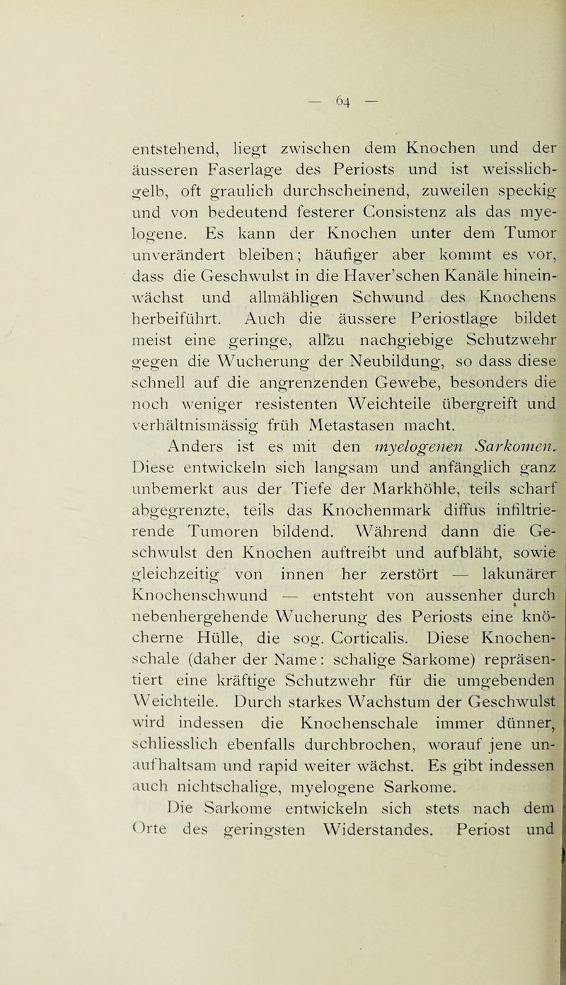 entstehend, liegt zwischen dem Knochen und der äusseren Faserlage des Periosts und ist weisslich- gelb, oft graulich durchscheinend, zuweilen speckig und von bedeutend festerer Consistenz als das mye¬ logene. Es kann der Knochen unter dem Tumor unverändert bleiben; häutiger aber kommt es vor, dass die Geschwulst in die Haverischen Kanäle hinein¬ wächst und allmähligen Schwund des Knochens herbeiführt. Auch die äussere Periostlage bildet meist eine geringe, allzu nachgiebige Schutzwehr gegen die Wucherung der Neubildung, so dass diese schnell auf die angrenzenden Gewebe, besonders die noch weniger resistenten Weichteile übergreift und verhältnismässig früh Metastasen macht. Anders ist es mit den myelogenen Sarkomen, Diese entwickeln sich langsam und anfänglich ganz unbemerkt aus der Tiefe der Markhöhle, teils scharf abgegrenzte, teils das Knochenmark diffus infiltrie¬ rende Tumoren bildend. Während dann die Ge¬ schwulst den Knochen auftreibt und aufbläht, sowie gleichzeitig von innen her zerstört — lakunärer Knochenschwund — entsteht von aussenher durch % nebenhergehende Wucherung des Periosts eine knö¬ cherne Hülle, die sog. Corticalis. Diese Knochen¬ schale (daher der Name: schalige Sarkome) repräsen¬ tiert eine kräftige Schutzwehr für die umgebenden Weichteile. Durch starkes Wachstum der Geschwulst wird indessen die Knochenschale immer dünneg schliesslich ebenfalls durchbrochen, worauf jene un¬ aufhaltsam und rapid weiter wächst. Es gibt indessen auch nichtschalige, myelogene Sarkome. Die Sarkome entwickeln sich stets nach dem Orte des geringsten Widerstandes. Periost und