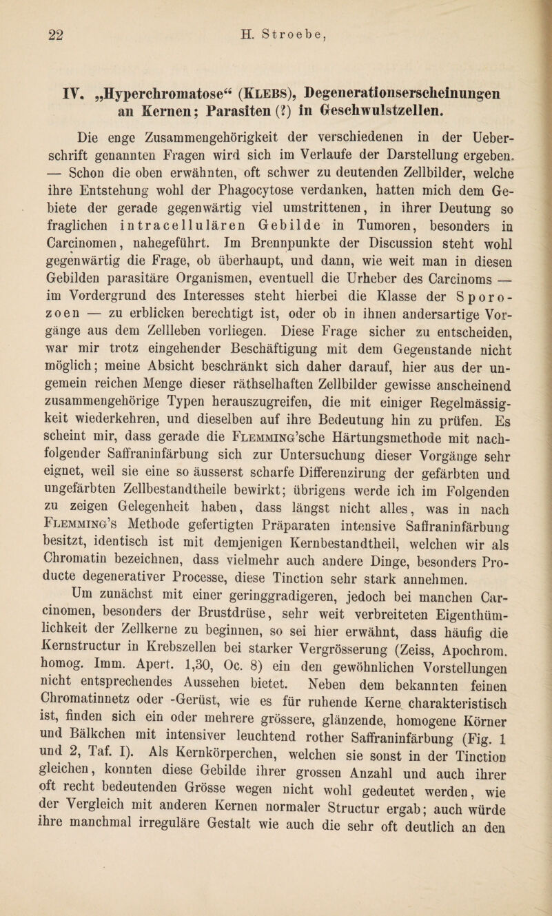 IV. „Hyperchromatose“ (Klebs), Degenerationserschemimgen an Kernen; Parasiten (?) in Gfeschwulstzellen. Die enge Zusammengehörigkeit der verschiedenen in der Ueber- schrift genannten Fragen wird sich im Verlaufe der Darstellung ergeben. — Schon die oben erwähnten, oft schwer zu deutenden Zellbilder, welche ihre Entstehung wohl der Phagocytose verdanken, hatten mich dem Ge¬ biete der gerade gegenwärtig viel umstrittenen, in ihrer Deutung so fraglichen intracellulären Gebilde in Tumoren, besonders in Carcinomen, nahegeführt. Im Brennpunkte der Discussion steht wohl % i gegenwärtig die Frage, ob überhaupt, und dann, wie weit man in diesen Gebilden parasitäre Organismen, eventuell die Urheber des Carcinoms — im Vordergrund des Interesses steht hierbei die Klasse der Sporo¬ zoen — zu erblicken berechtigt ist, oder ob in ihnen andersartige Vor¬ gänge aus dem Zellleben vorliegen. Diese Frage sicher zu entscheiden, war mir trotz eingehender Beschäftigung mit dem Gegenstände nicht möglich; meine Absicht beschränkt sich daher darauf, hier aus der un- gemein reichen Menge dieser räthselhaften Zellbilder gewisse anscheinend zusammengehörige Typen herauszugreifen, die mit einiger Regelmässig¬ keit wiederkehren, und dieselben auf ihre Bedeutung hin zu prüfen. Es scheint mir, dass gerade die FLEMMiNG’sche Härtungsmethode mit nach¬ folgender Saffraninfärbung sich zur Untersuchung dieser Vorgänge sehr eignet, weil sie eine so äusserst scharfe Differenzirung der gefärbten und ungefärbten Zellbestandtheile bewirkt; übrigens werde ich im Folgenden zu zeigen Gelegenheit haben, dass längst nicht alles, was in nach Flemming’s Methode gefertigten Präparaten intensive Saffraninfärbung besitzt, identisch ist mit demjenigen Kernbestandtheil, welchen wir als Chromatin bezeichnen, dass vielmehr auch andere Dinge, besonders Pro- ducte degenerativer Processe, diese Tinction sehr stark annehmen. Um zunächst mit einer geringgradigeren, jedoch bei manchen Car¬ cinomen, besonders der Brustdrüse, sehr weit verbreiteten Eigenthüm- lichkeit der Zellkerne zu beginnen, so sei hier erwähnt, dass häufig die Kernstructur in Krebszellen bei starker Vergrösserung (Zeiss, Apochrom. homog. Imm. Apert. 1,30, Oc. 8) ein den gewöhnlichen Vorstellungen nicht entsprechendes Aussehen bietet. Neben dem bekannten feinen Chromatinnetz oder -Gerüst, wie es für ruhende Kerne charakteristisch ist, finden sich ein oder mehrere grössere, glänzende, homogene Körner und Bälkchen mit intensiver leuchtend rother Saffraninfärbung (Fig. 1 und 2, Taf. I). Als Kernkörperchen, welchen sie sonst in der Tinction gleichen, konnten diese Gebilde ihrer grossen Anzahl und auch ihrer oft recht bedeutenden Grösse wegen nicht wohl gedeutet werden, wie der Vergleich mit anderen Kernen normaler Structur ergab; auch würde Ihre manchmal irreguläre Gestalt wie auch die sehr oft deutlich an den