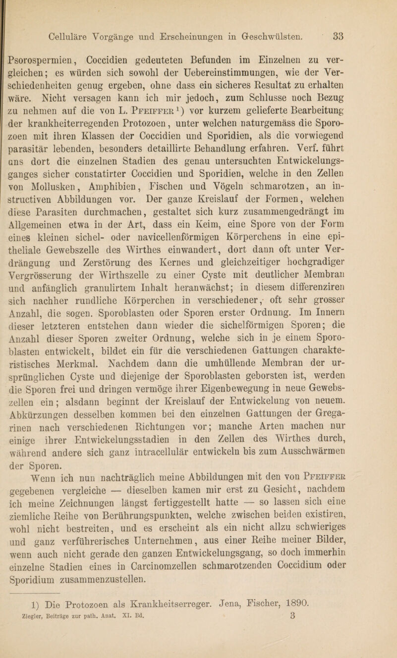 Psorospermien, Coccidien gedeuteten Befunden im Einzelnen zu ver¬ gleichen; es würden sich sowohl der Uebereinstimmungen, wie der Ver¬ schiedenheiten genug ergeben, ohne dass ein sicheres Resultat zu erhalten wäre. Nicht versagen kann ich mir jedoch, zum Schlüsse noch Bezug zu nehmen auf die von L. Pfeiffer1) vor kurzem gelieferte Bearbeitung der krankheiterregenden Protozoen, unter welchen naturgemäss die Sporo¬ zoen mit ihren Klassen der Coccidien und Sporidien, als die vorwiegend parasitär lebenden, besonders detaillirte Behandlung erfahren. Verf. führt uns dort die einzelnen Stadien des genau untersuchten Entwickelungs¬ ganges sicher constatirter Coccidien und Sporidien, welche in den Zellen von Mollusken, Amphibien, Fischen und Vögeln schmarotzen, an in- structiven Abbildungen vor. Der ganze Kreislauf der Formen, welchen diese Parasiten durchmachen, gestaltet sich kurz zusammengedrängt im Allgemeinen etwa in der Art, dass ein Keim, eine Spore von der Form eines kleinen sichel- oder navicellenförmigen Körperchens in eine epi¬ theliale Gewebszelle des Wirthes einwandert, dort dann oft unter Ver¬ drängung und Zerstörung des Kernes und gleichzeitiger hochgradiger Vergrösserung der Wirthszelle zu einer Cyste mit deutlicher Membran und anfänglich granulirtem Inhalt heran wächst; in diesem differenziren sich nachher rundliche Körperchen in verschiedener,- oft sehr grosser Anzahl, die sogen. Sporoblasten oder Sporen erster Ordnung. Im Innern dieser letzteren entstehen dann wieder die sichelförmigen Sporen; die Anzahl dieser Sporen zweiter Ordnung, welche sich in je einem Sporo¬ blasten entwickelt, bildet ein für die verschiedenen Gattungen charakte¬ ristisches Merkmal. Nachdem dann die umhüllende Membran der ur¬ sprünglichen Cyste und diejenige der Sporoblasten geborsten ist, werden die Sporen frei und dringen vermöge ihrer Eigenbewegung in neue Gewebs¬ zellen ein; alsdann beginnt der Kreislauf der Entwickelung von neuem. Abkürzungen desselben kommen bei den einzelnen Gattungen der Grega- rinen nach verschiedenen Richtungen vor; manche Arten machen nur einige ihrer Entwickelungsstadien in den Zellen des Wirthes durch, während andere sich ganz intracellulär entwickeln bis zum Ausschwärmen der Sporen. Wenn ich nun nachträglich meine Abbildungen mit den von Pfeiffer gegebenen vergleiche — dieselben kamen mir erst zu Gesicht, nachdem ich meine Zeichnungen längst fertiggestellt hatte — so lassen sich eine ziemliche Reihe von Berührungspunkten, welche zwischen beiden existiren, wohl nicht bestreiten, und es erscheint als ein nicht allzu schwieriges und ganz verführerisches Unternehmen, aus einer Reihe meiner Bilder, wenn auch nicht gerade den ganzen Entwickelungsgang, so doch immerhin einzelne Stadien eines in Carcinomzellen schmarotzenden Coccidium oder Sporidium zusammenzustellen. 1) Die Protozoen als Krankheitserreger. Jena, Eischer, 1890. Ziegler, Beiträge zur path. Anat. XI. Bd. 3