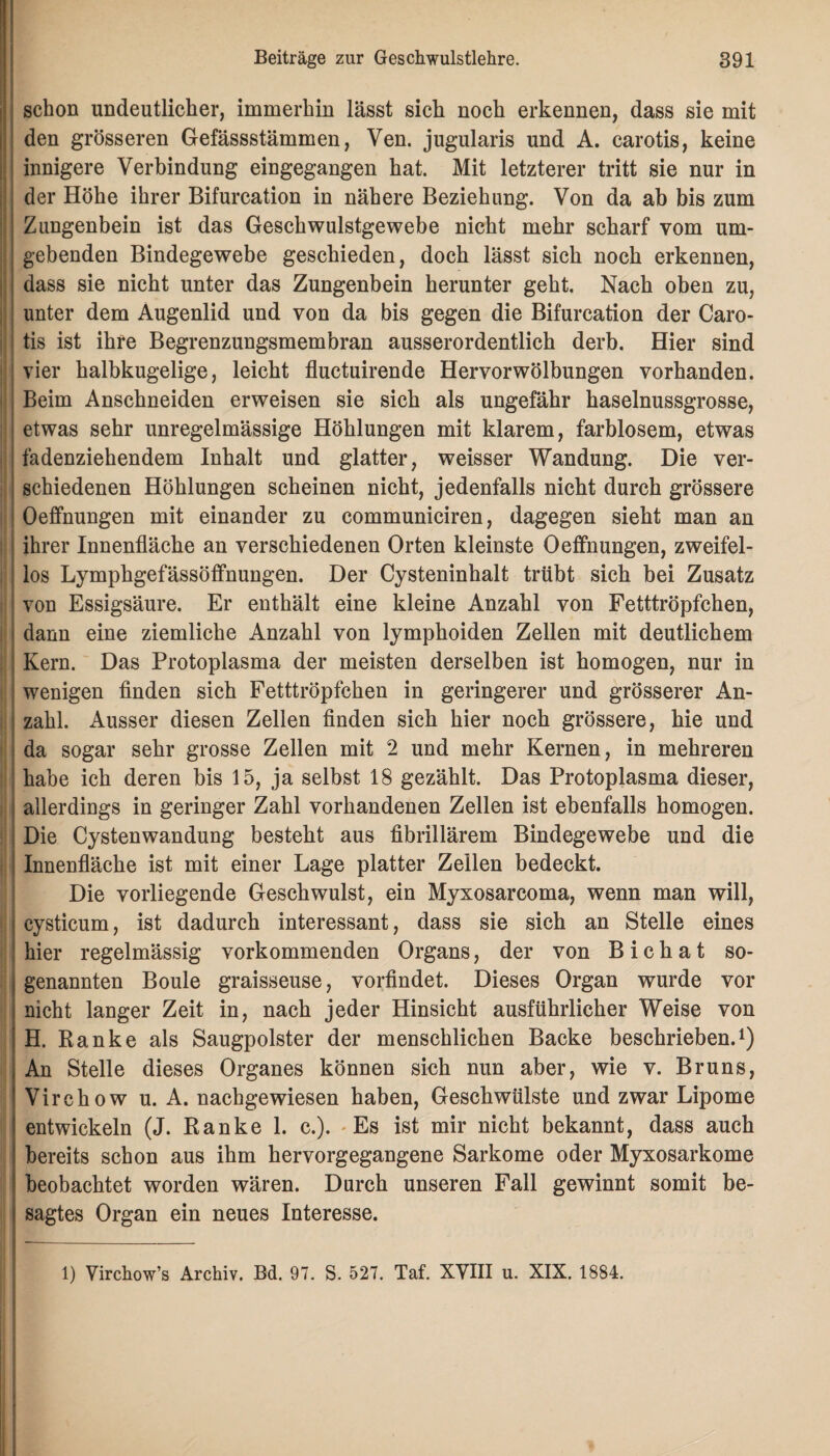 schon undeutlicher, immerhin lässt sich noch erkennen, dass sie mit den grösseren Gefässstämmen, Ven. jugularis und A. carotis, keine innigere Verbindung eingegangen hat. Mit letzterer tritt sie nur in der Höhe ihrer Bifurcation in nähere Beziehung. Von da ab bis zum Zungenbein ist das Geschwulstgewebe nicht mehr scharf vom um¬ gebenden Bindegewebe geschieden, doch lässt sich noch erkennen, dass sie nicht unter das Zungenbein herunter geht. Nach oben zu, unter dem Augenlid und von da bis gegen die Bifurcation der Caro¬ tis ist ihre Begrenzungsmembran ausserordentlich derb. Hier sind vier halbkugelige, leicht fluctuirende Hervorwölbungen vorhanden. Beim Anschneiden erweisen sie sich als ungefähr haselnussgrosse, etwas sehr unregelmässige Höhlungen mit klarem, farblosem, etwas fädenziehendem Inhalt und glatter, weisser Wandung. Die ver¬ schiedenen Höhlungen scheinen nicht, jedenfalls nicht durch grössere Oeffnungen mit einander zu communiciren, dagegen sieht man an ihrer Innenfläche an verschiedenen Orten kleinste Oeffnungen, zweifel¬ los Lymphgefässöfifnungen. Der Cysteninhalt trübt sich bei Zusatz von Essigsäure. Er enthält eine kleine Anzahl von Fetttröpfchen, i dann eine ziemliche Anzahl von lymphoiden Zellen mit deutlichem ; Kern. Das Protoplasma der meisten derselben ist homogen, nur in 1 wenigen finden sich Fetttröpfchen in geringerer und grösserer An¬ zahl. Ausser diesen Zellen finden sich hier noch grössere, hie und da sogar sehr grosse Zellen mit 2 und mehr Kernen, in mehreren habe ich deren bis 15, ja selbst 18 gezählt. Das Protoplasma dieser, allerdings in geringer Zahl vorhandenen Zellen ist ebenfalls homogen. Die Cystenwandung besteht aus fibrillärem Bindegewebe und die Innenfläche ist mit einer Lage platter Zellen bedeckt. Die vorliegende Geschwulst, ein Myxosarcoma, wenn man will, cysticum, ist dadurch interessant, dass sie sich an Stelle eines hier regelmässig vorkommenden Organs, der von B i c h a t so¬ genannten Boule graisseuse, vorfindet. Dieses Organ wurde vor nicht langer Zeit in, nach jeder Hinsicht ausführlicher Weise von H. Ranke als Saugpolster der menschlichen Backe beschrieben.1) An Stelle dieses Organes können sich nun aber, wie v. Bruns, Virchow u. A. nachgewiesen haben, Geschwülste und zwar Lipome entwickeln (J. Ranke 1. c.). Es ist mir nicht bekannt, dass auch bereits schon aus ihm hervorgegangene Sarkome oder Myxosarkome beobachtet worden wären. Durch unseren Fall gewinnt somit be¬ sagtes Organ ein neues Interesse. 1) Virchow’s Archiv. Bd. 97. S. 527. Taf. XVIII u. XIX. 1884.